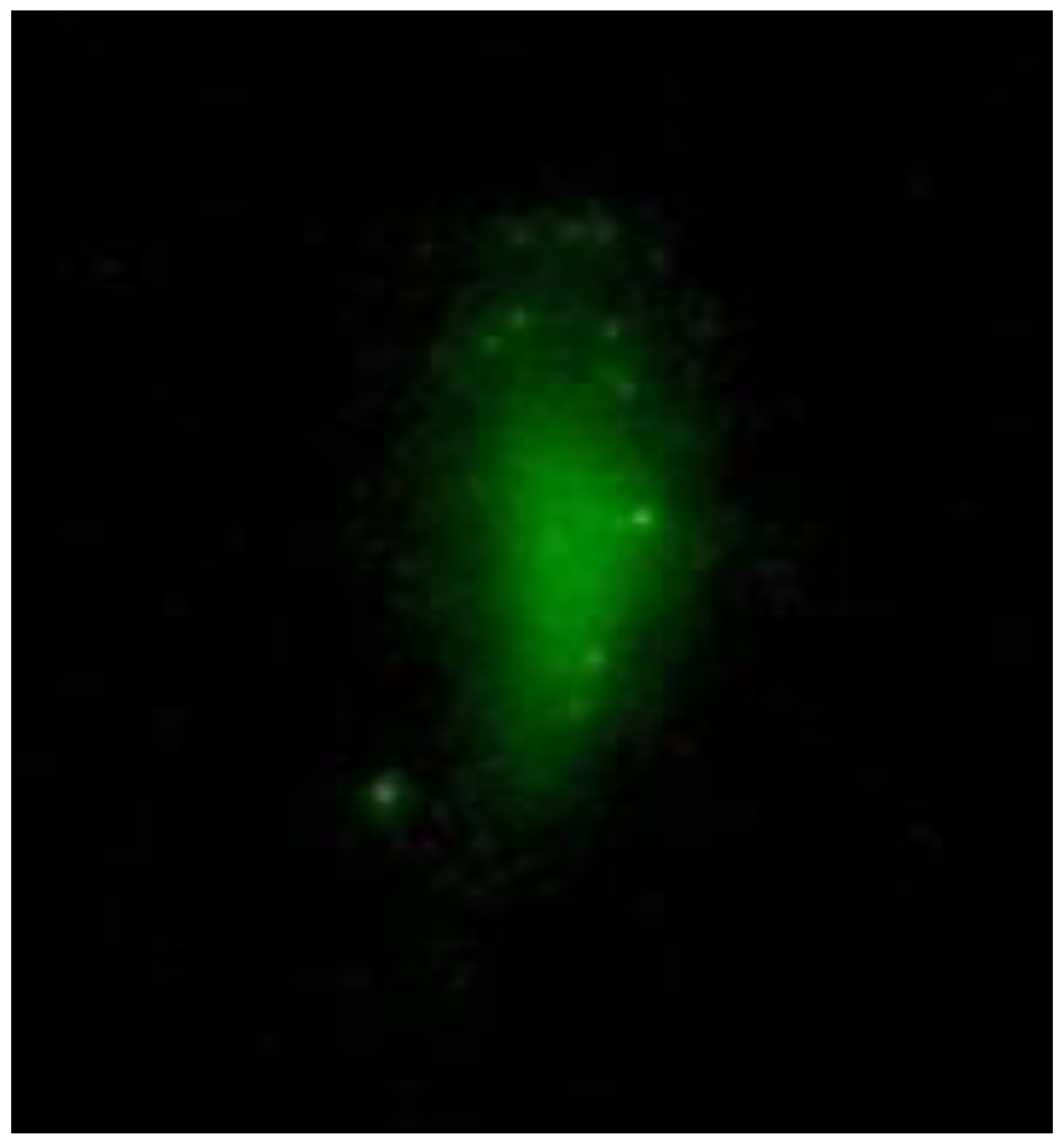 Photonics 10 01386 g003