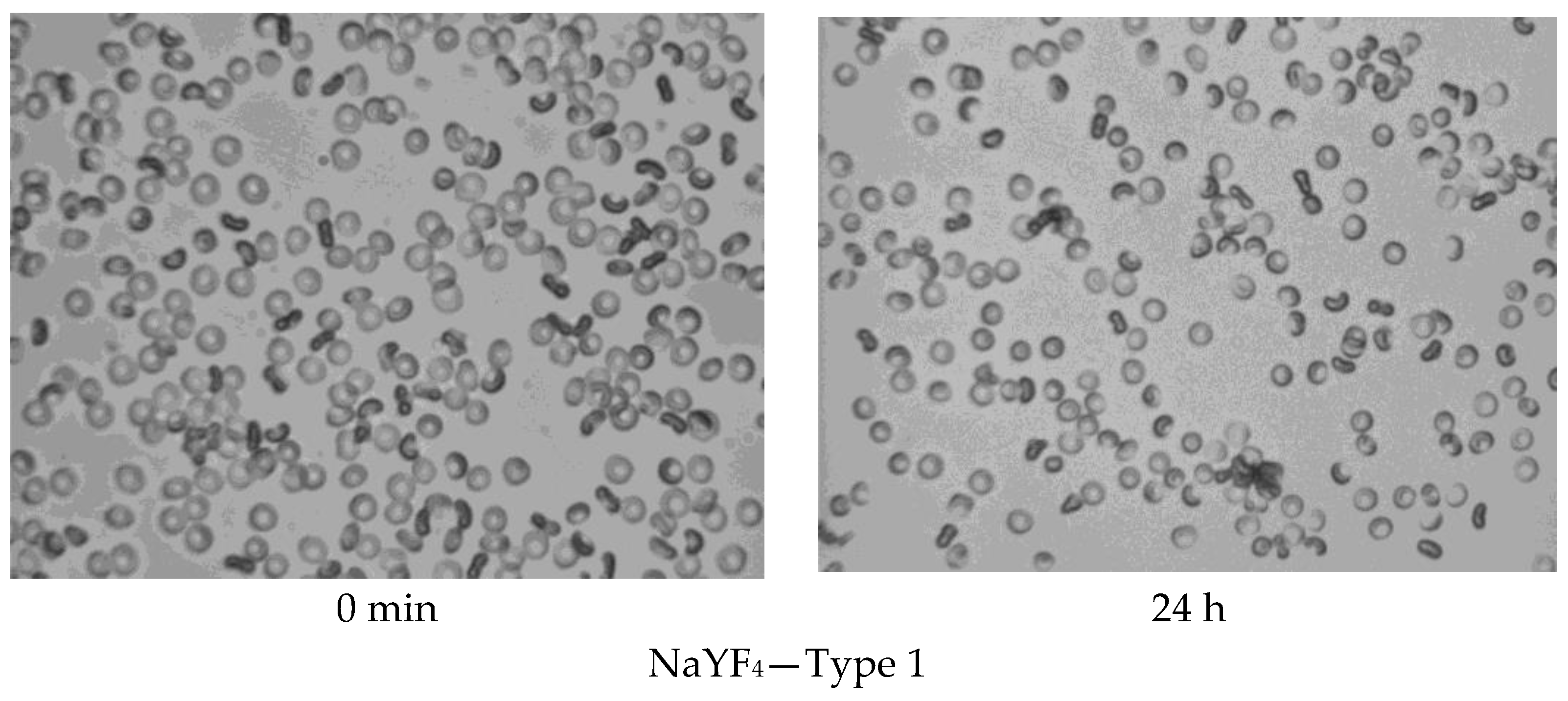 Photonics 10 01386 g006a