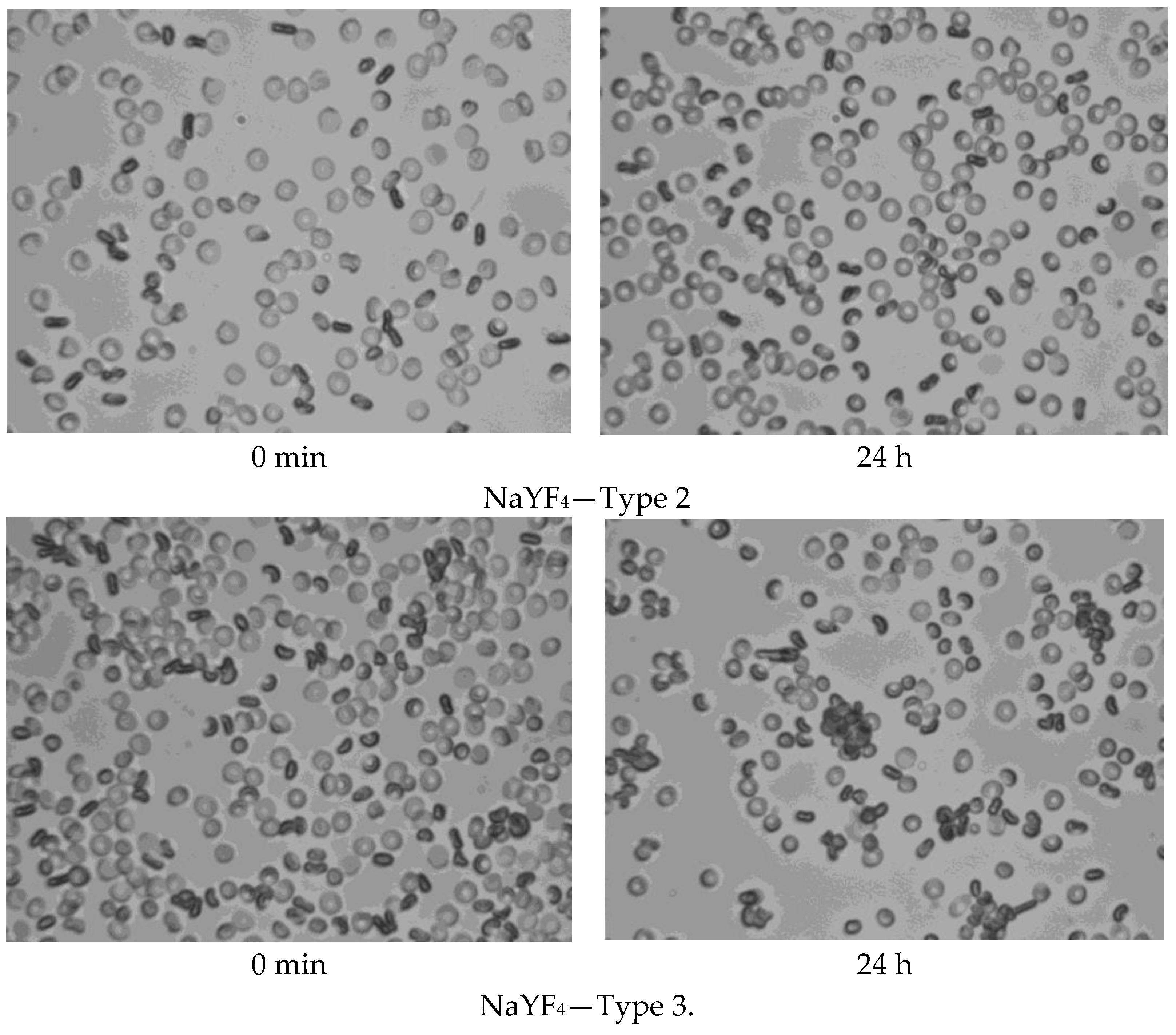 Photonics 10 01386 g006b