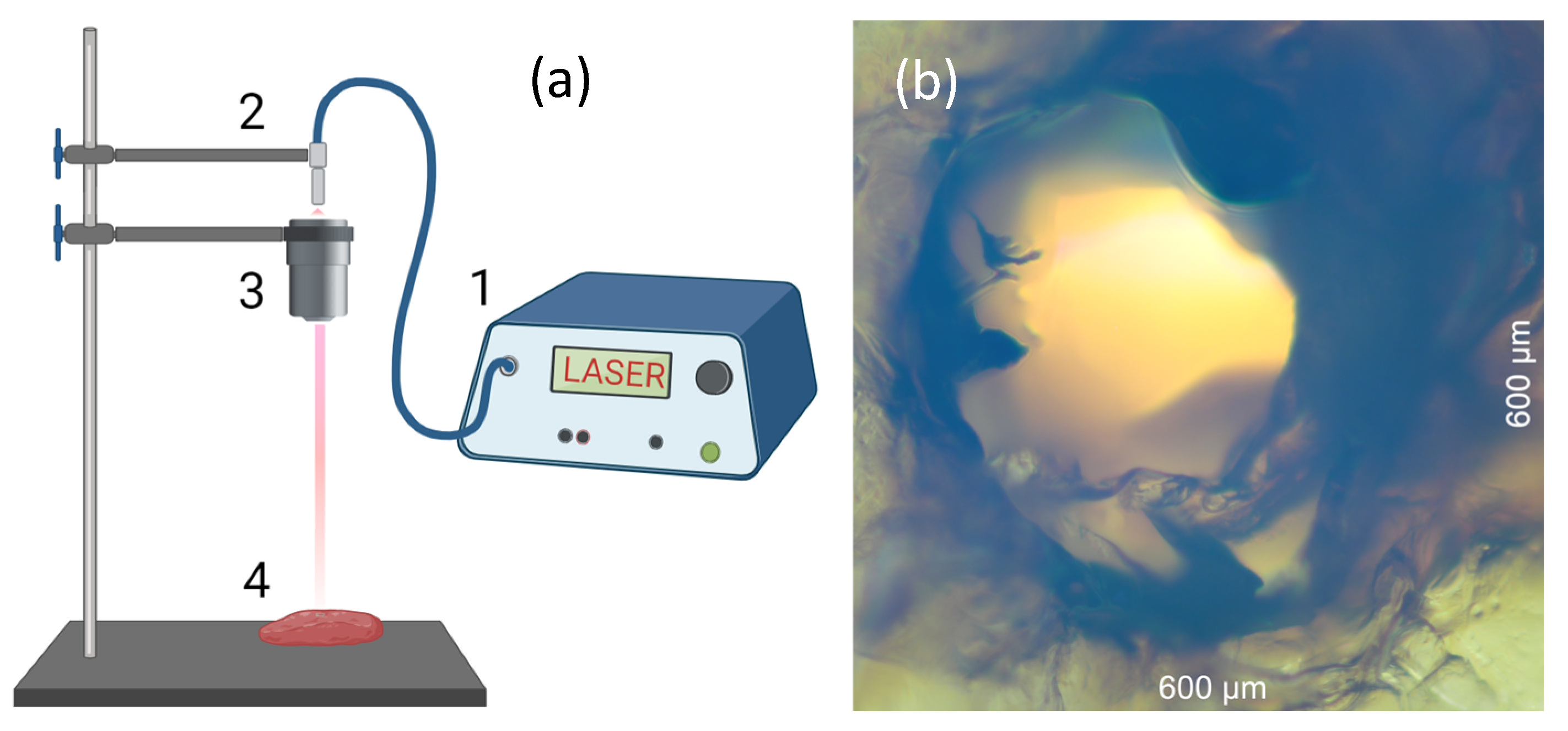 Photonics 11 00030 g005