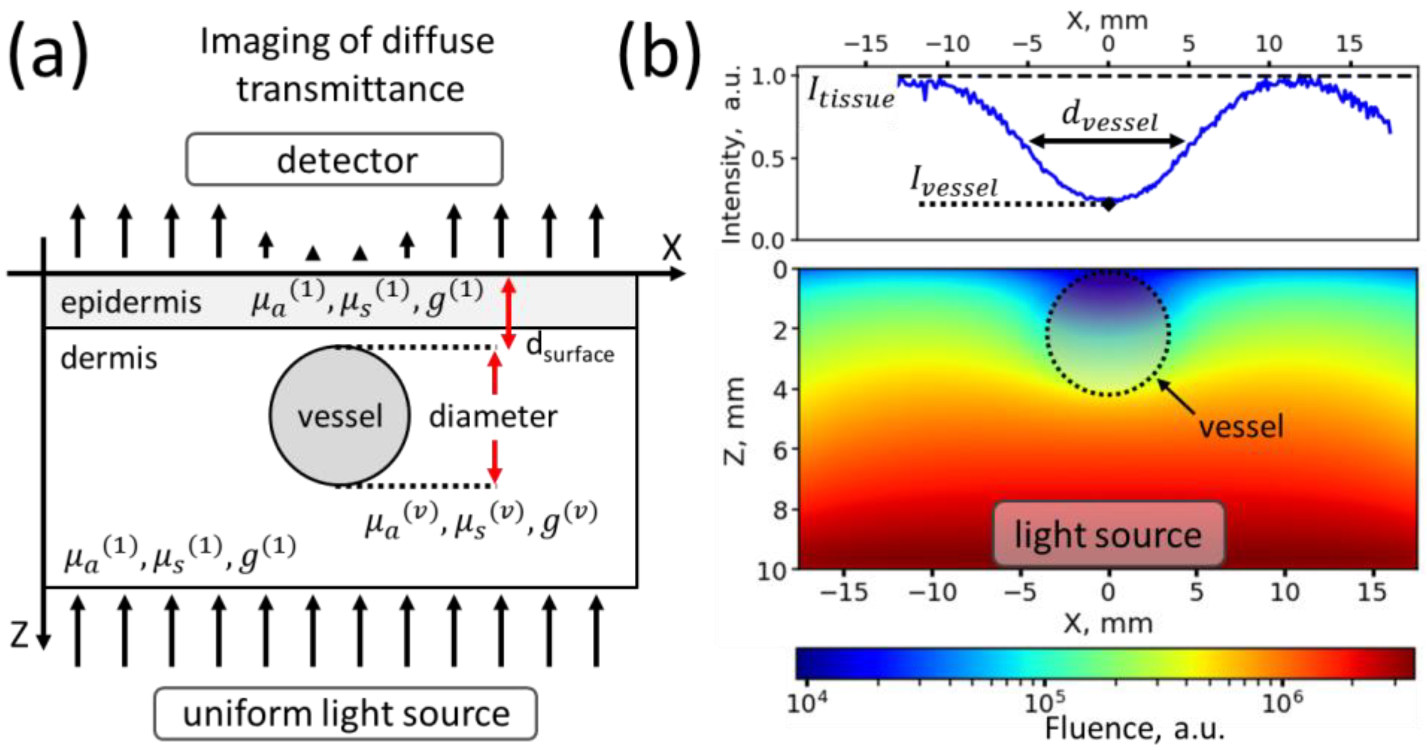 Photonics 11 00049 g001