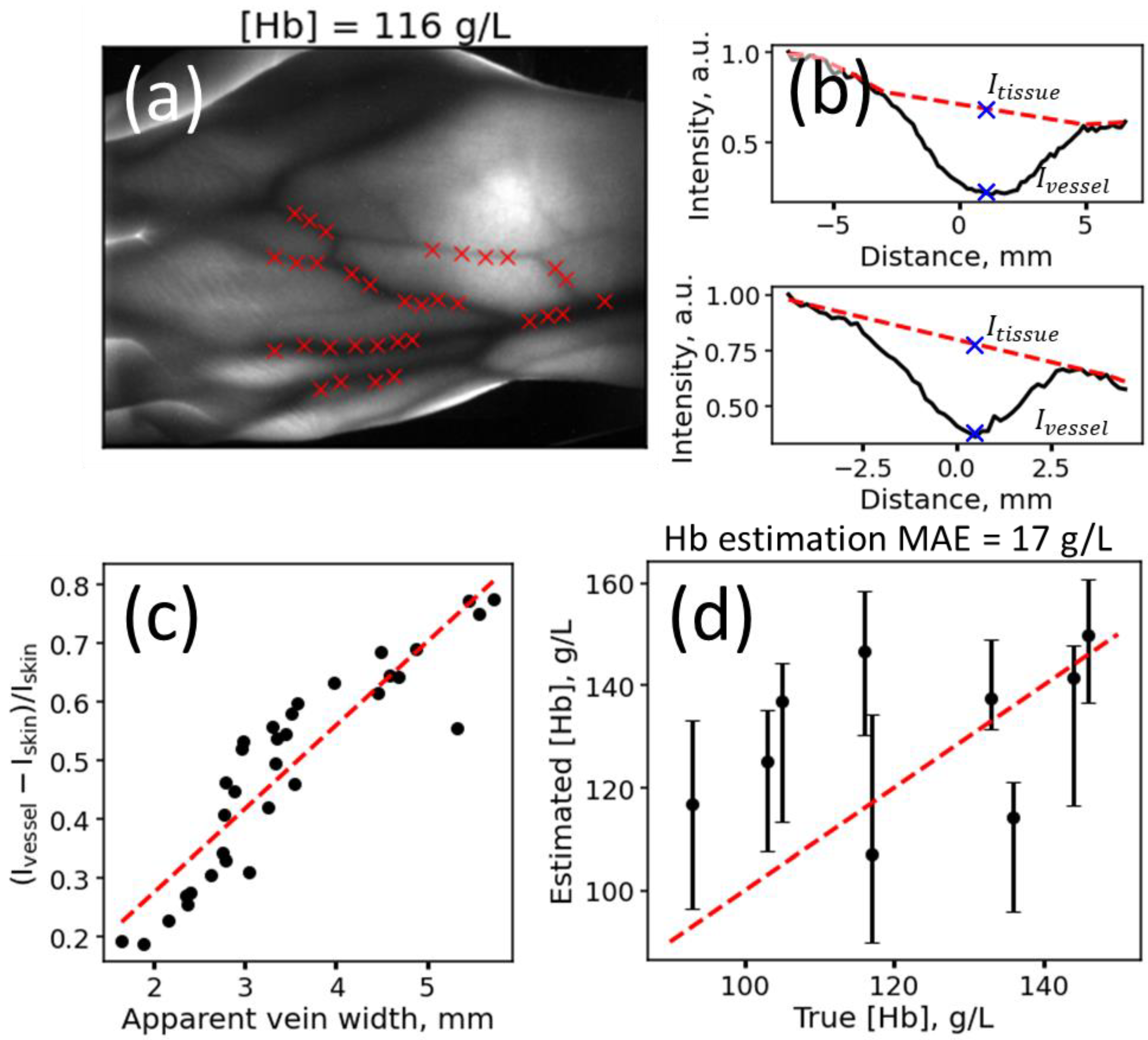 Photonics 11 00049 g004