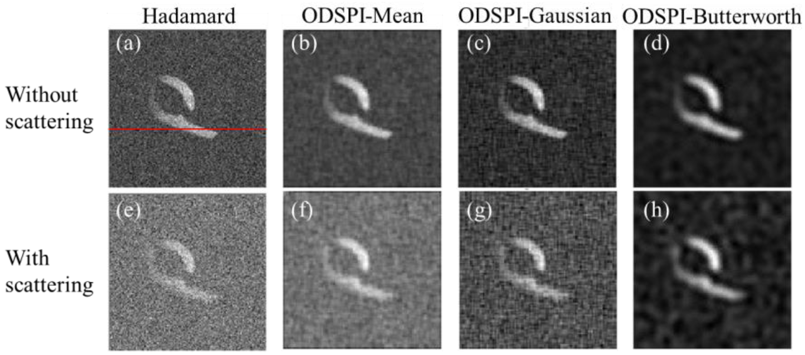 Photonics 11 00059 g010