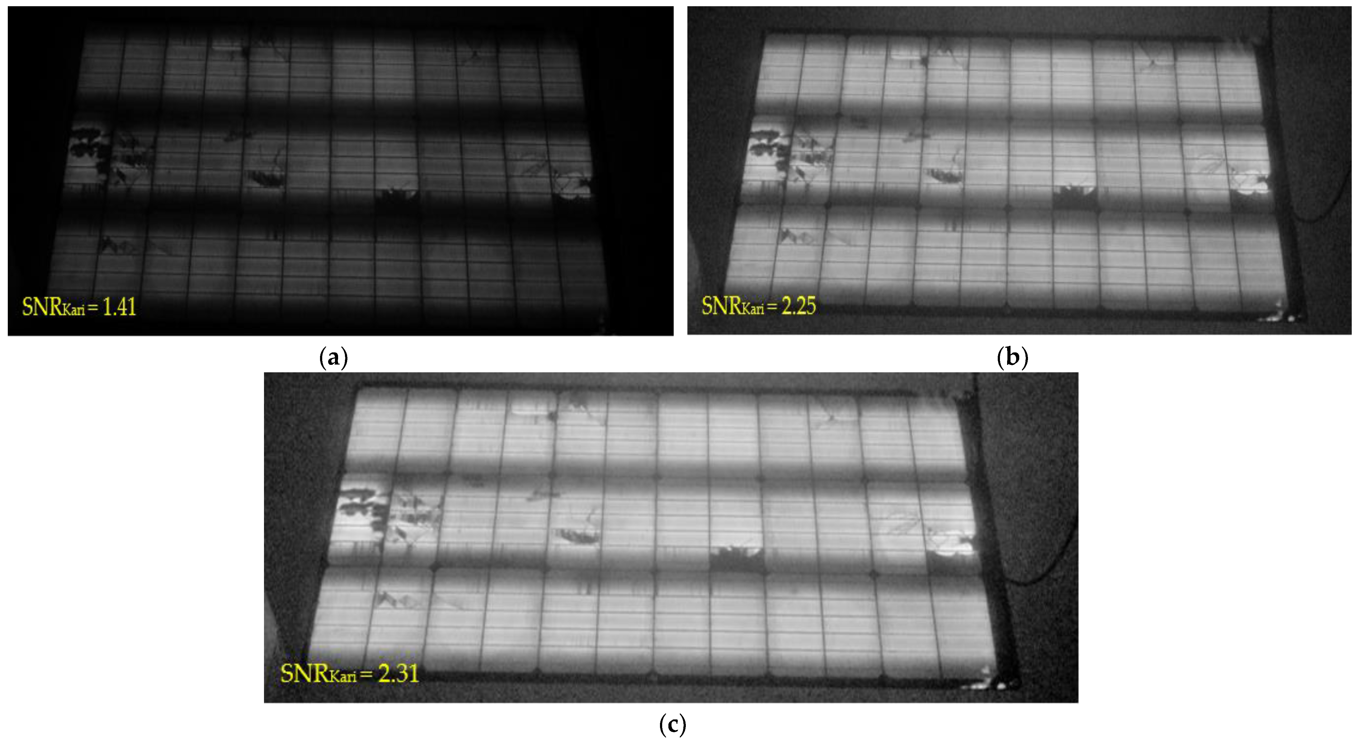 Photonics 11 00063 g010