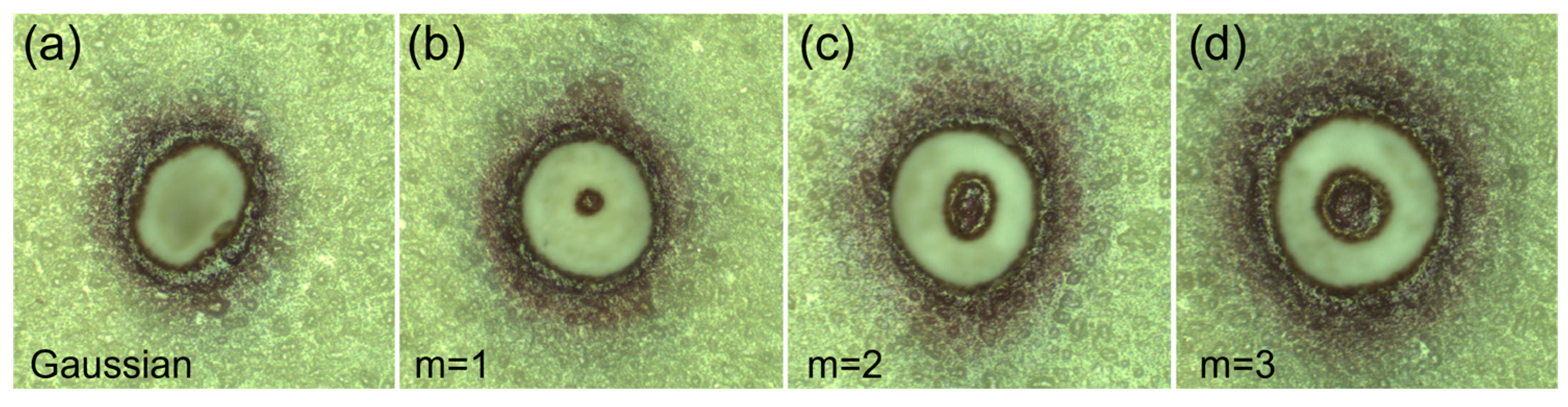Photonics 11 00066 g002