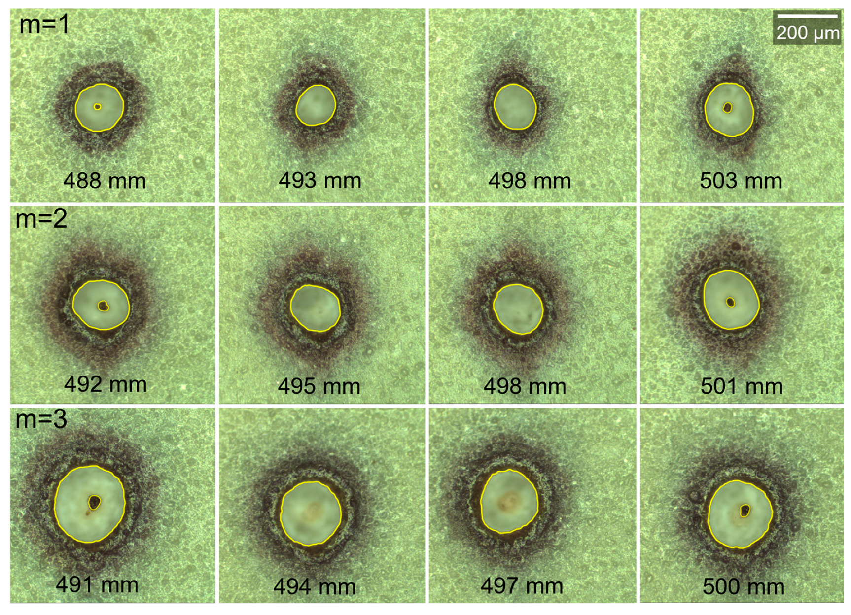 Photonics 11 00066 g003