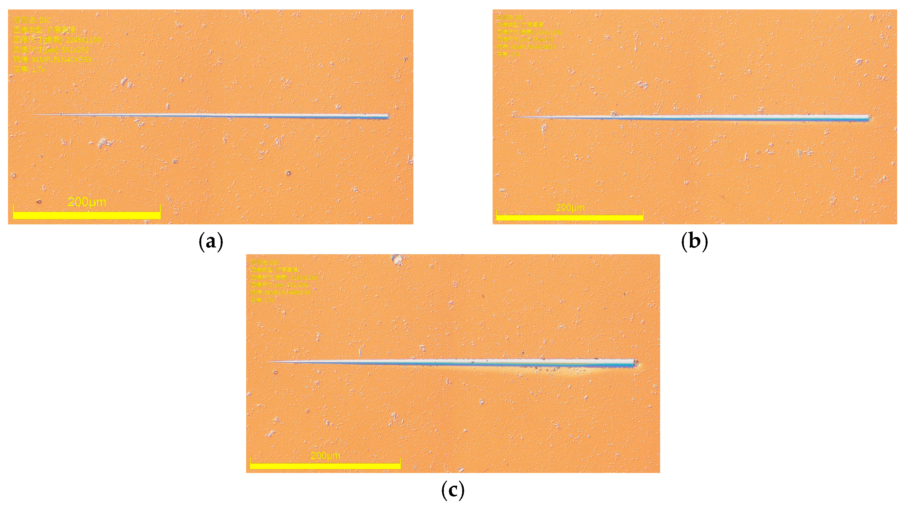 Photonics 11 00072 g010