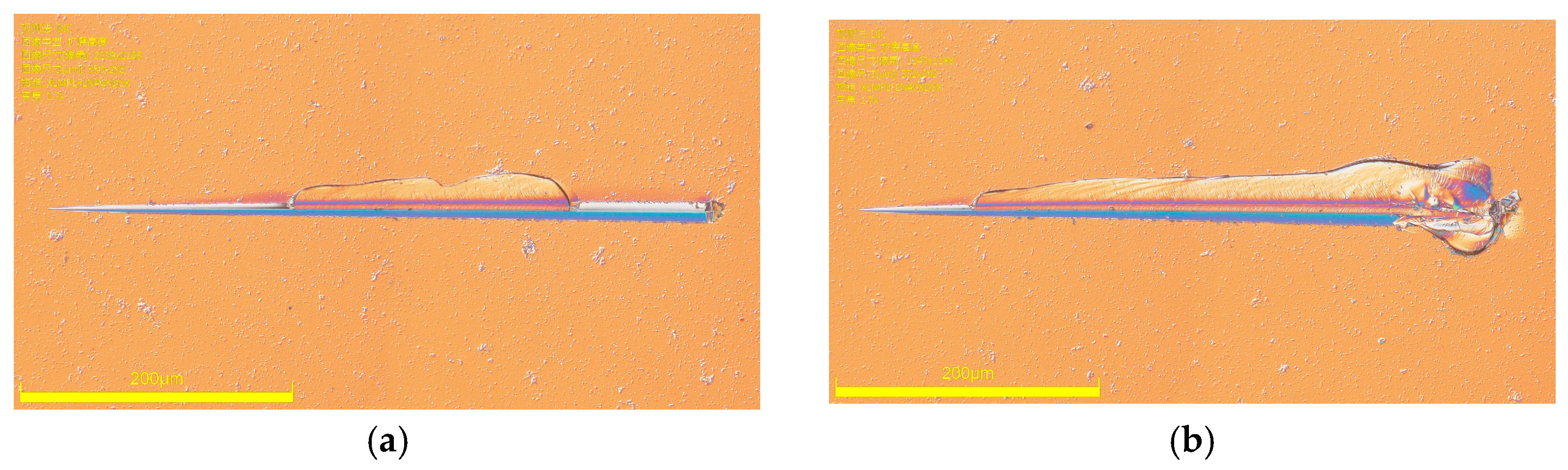 Photonics 11 00072 g011