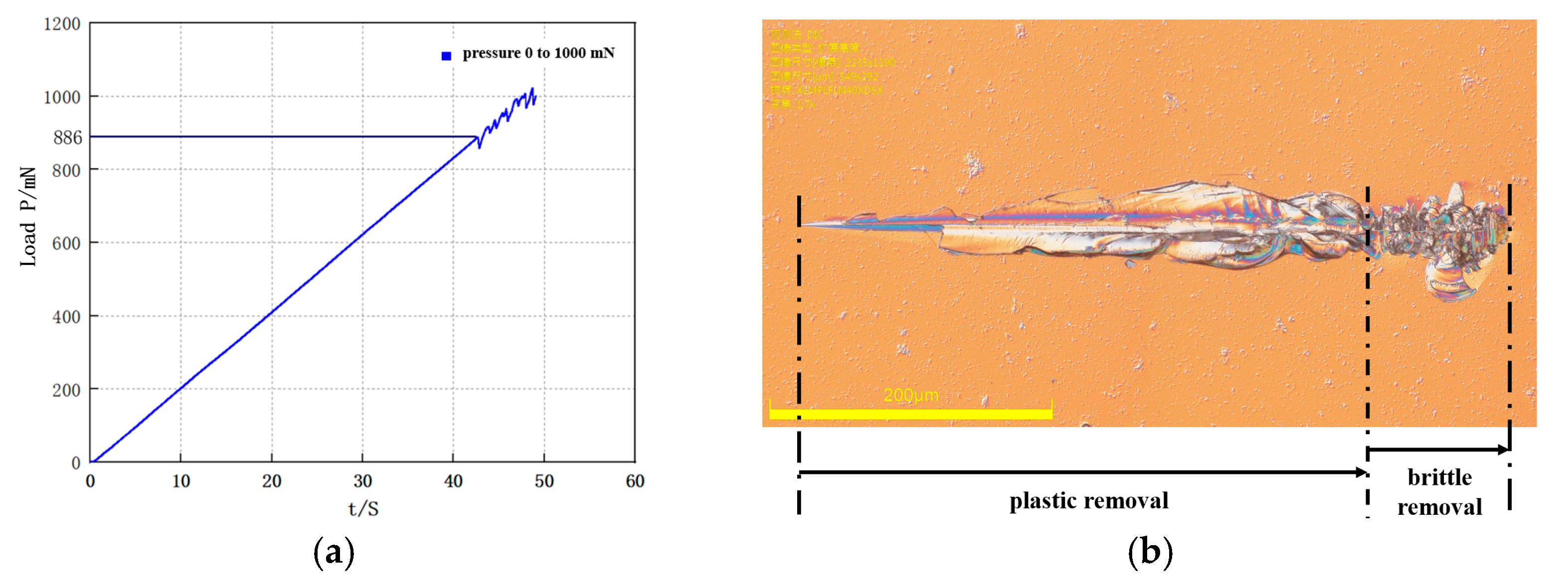 Photonics 11 00072 g012