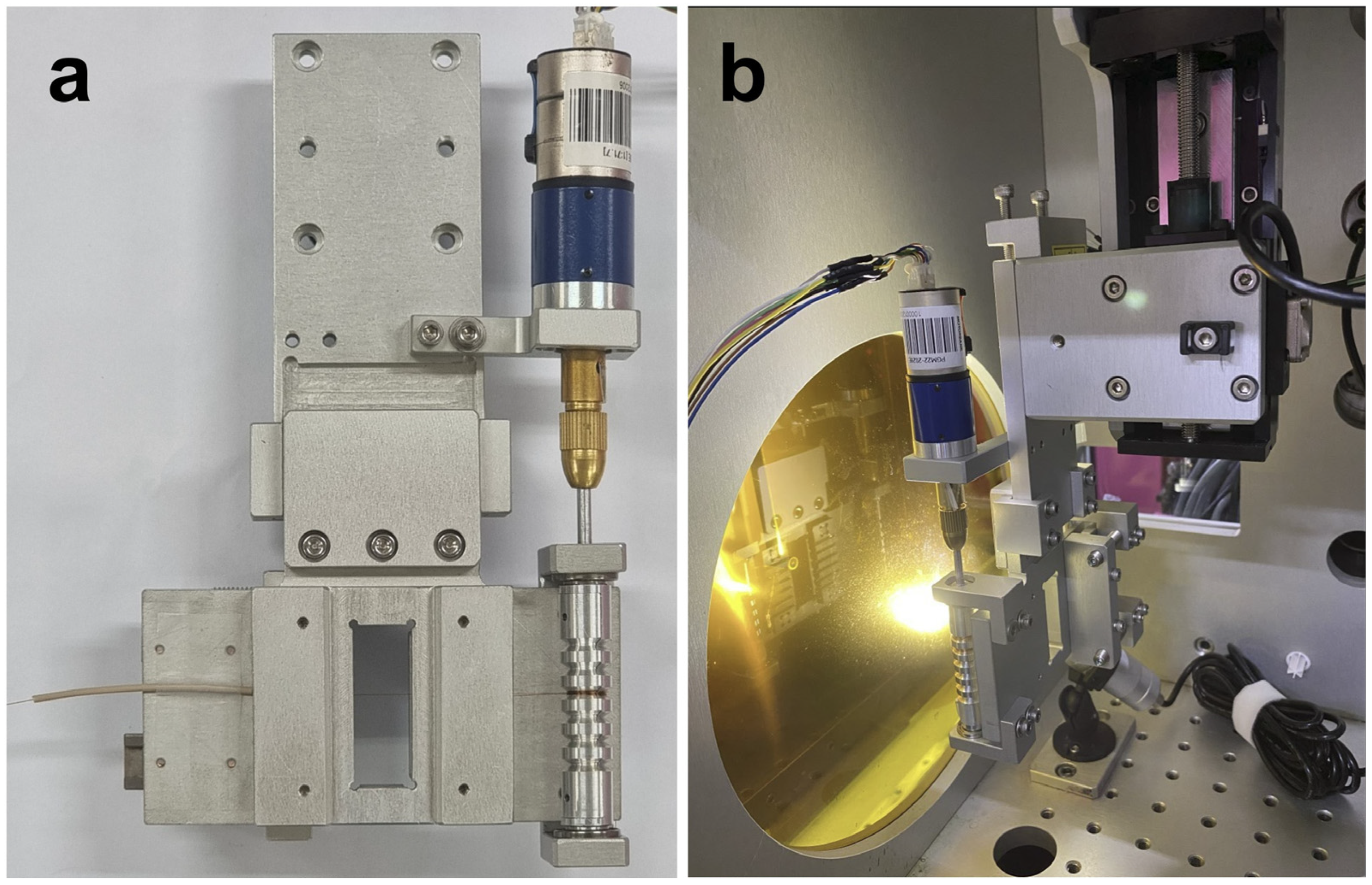 Photonics 11 00095 g002