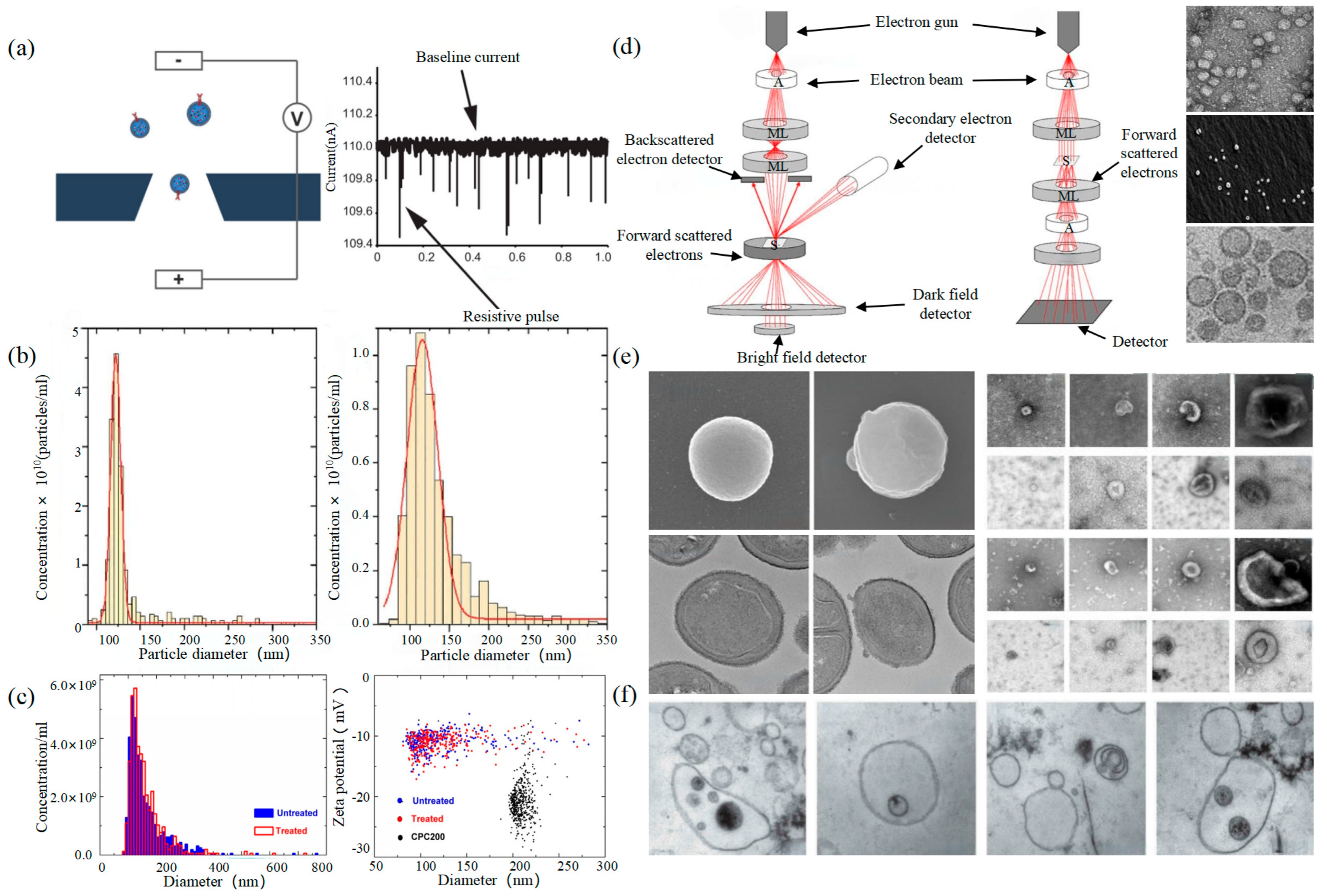 Photonics 11 00101 g002