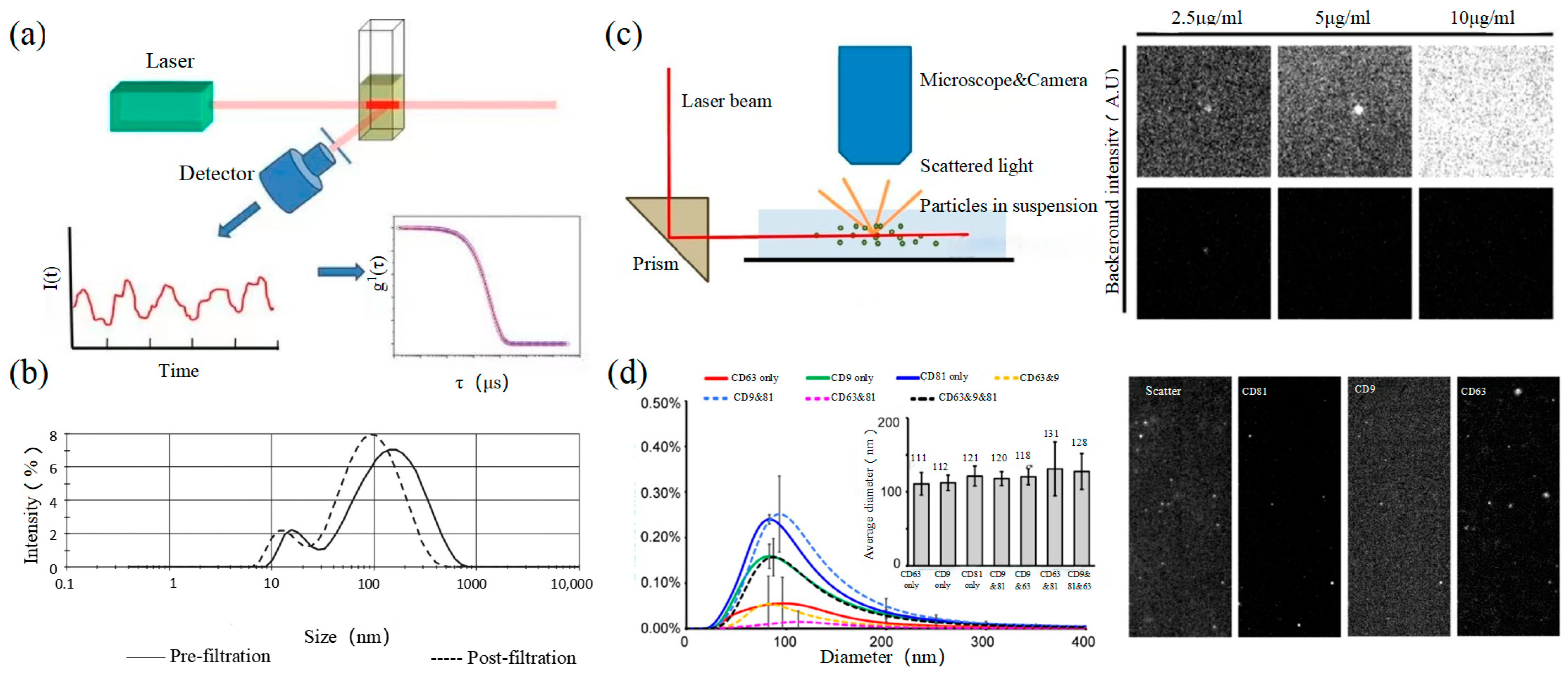 Photonics 11 00101 g003
