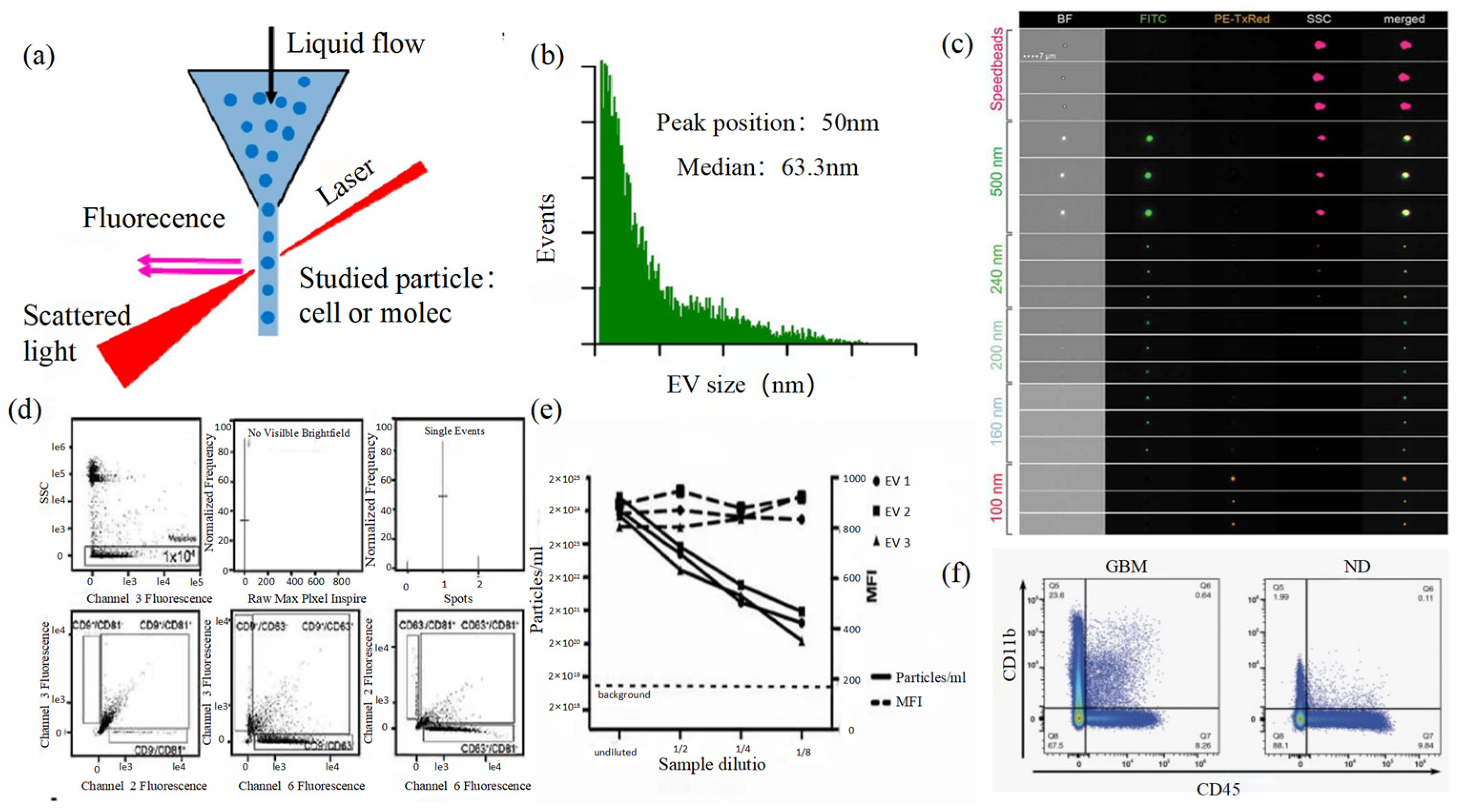 Photonics 11 00101 g004