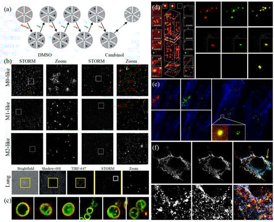 Photonics 11 00101 g005