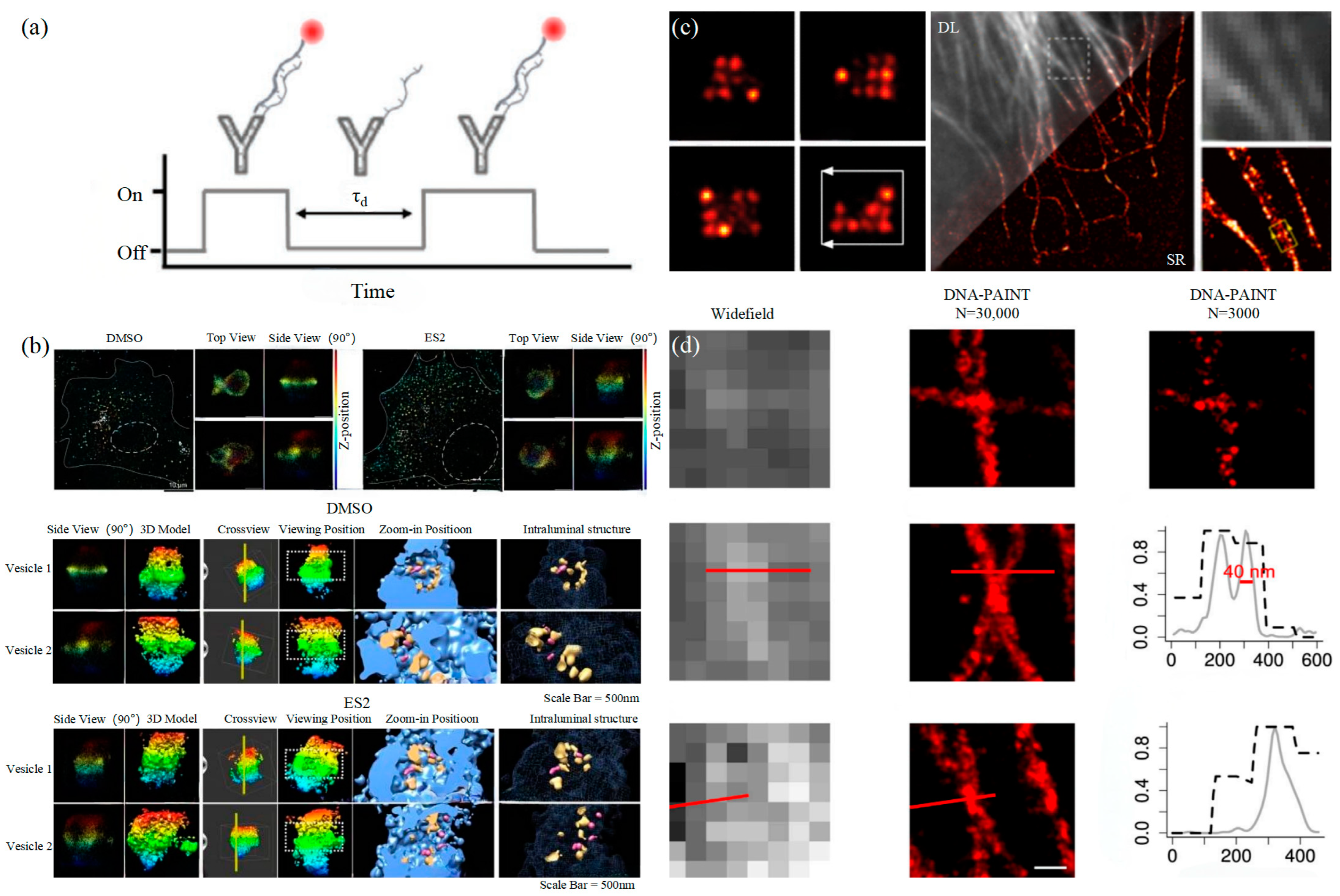 Photonics 11 00101 g006