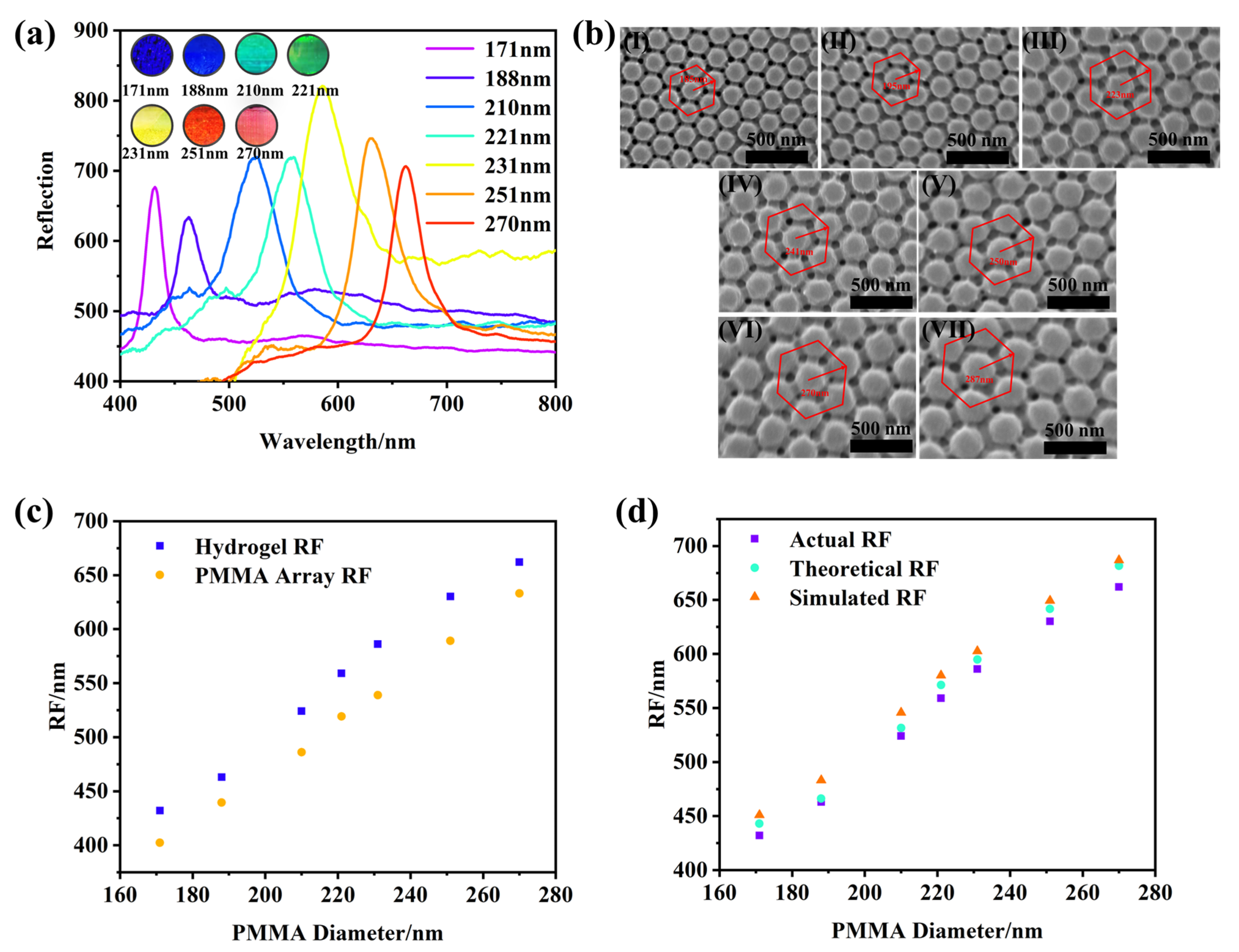 Photonics 11 00109 g004