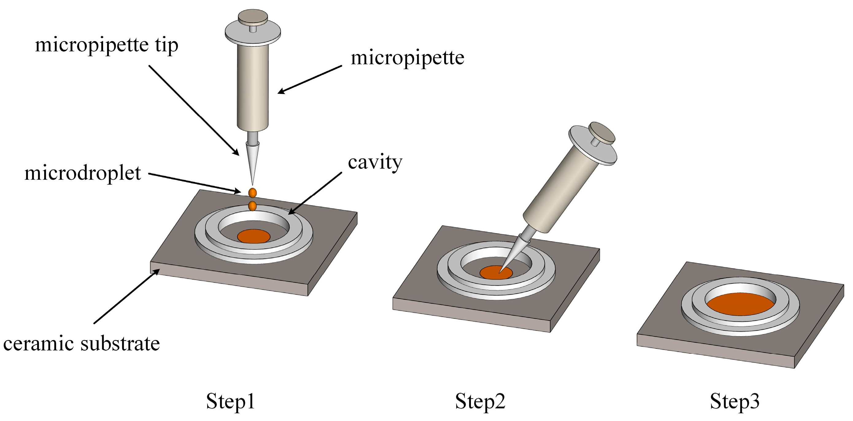 Photonics 11 00129 g002
