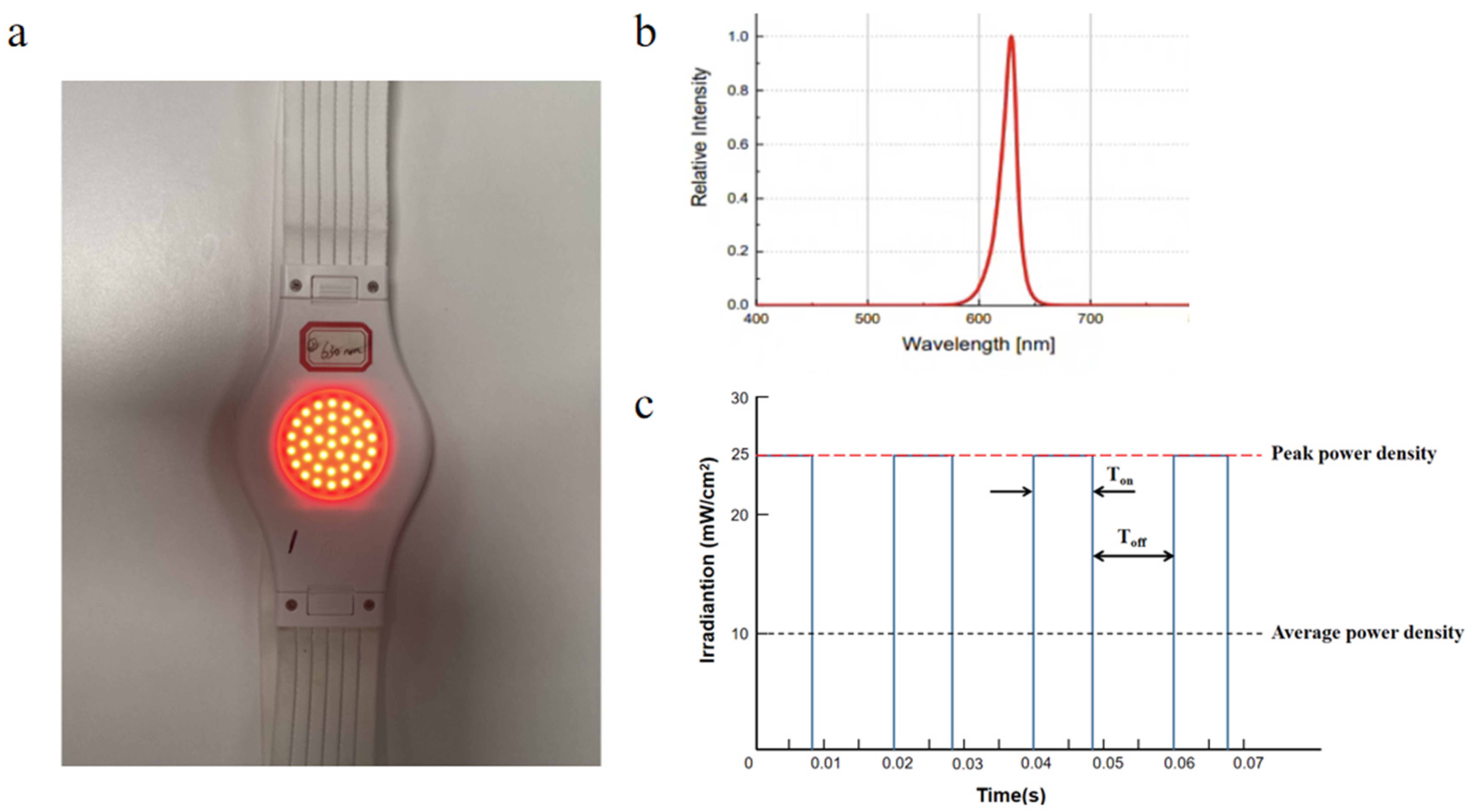 Photonics 11 00136 g003