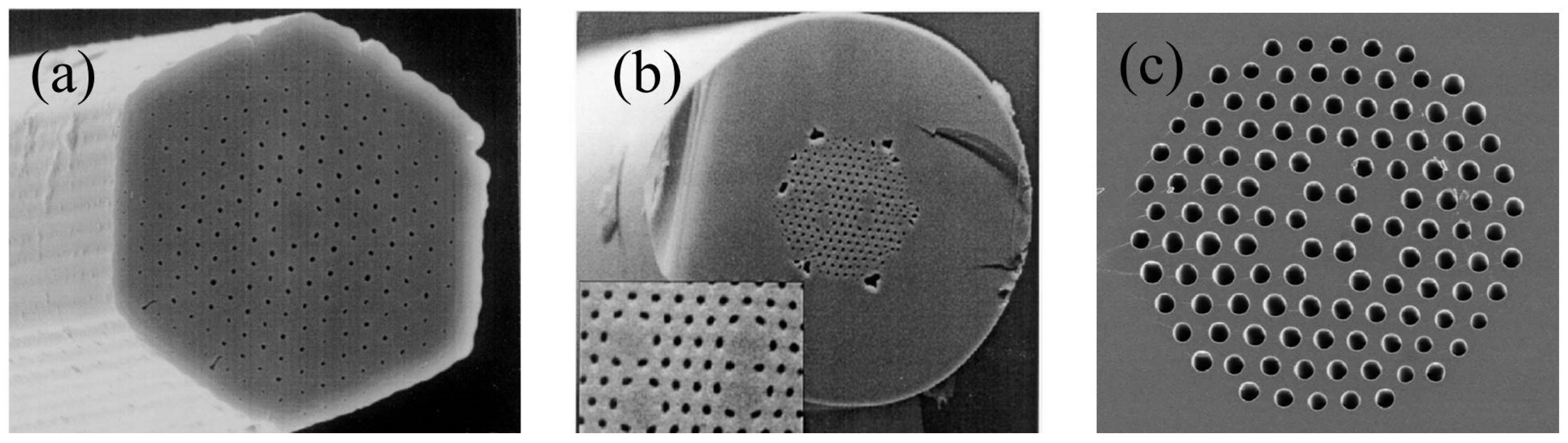 Photonics 11 00151 g001