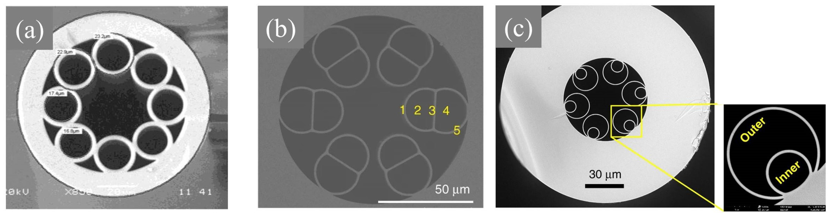 Photonics 11 00151 g004