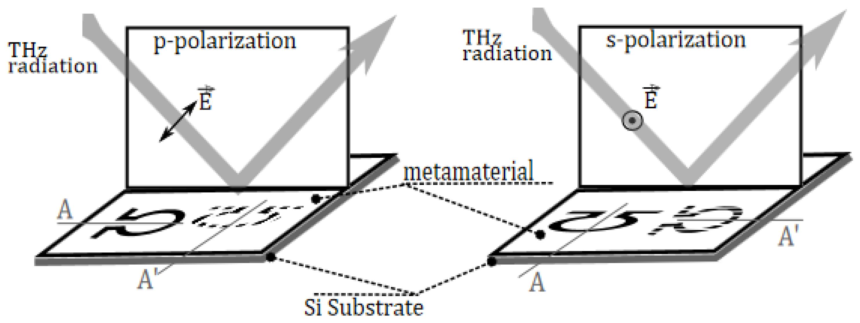 Photonics 11 00163 g003