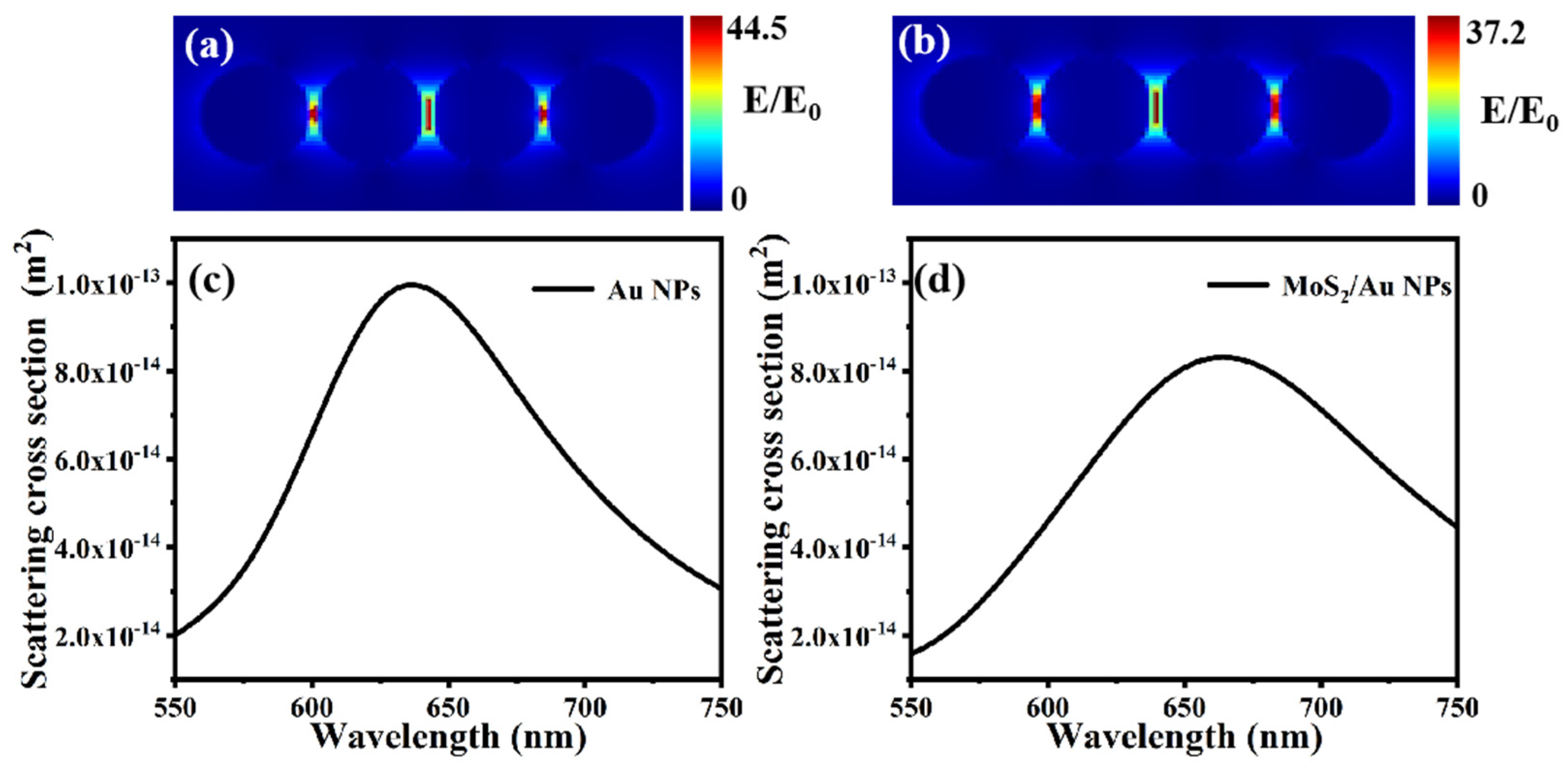 Photonics 11 00168 g005