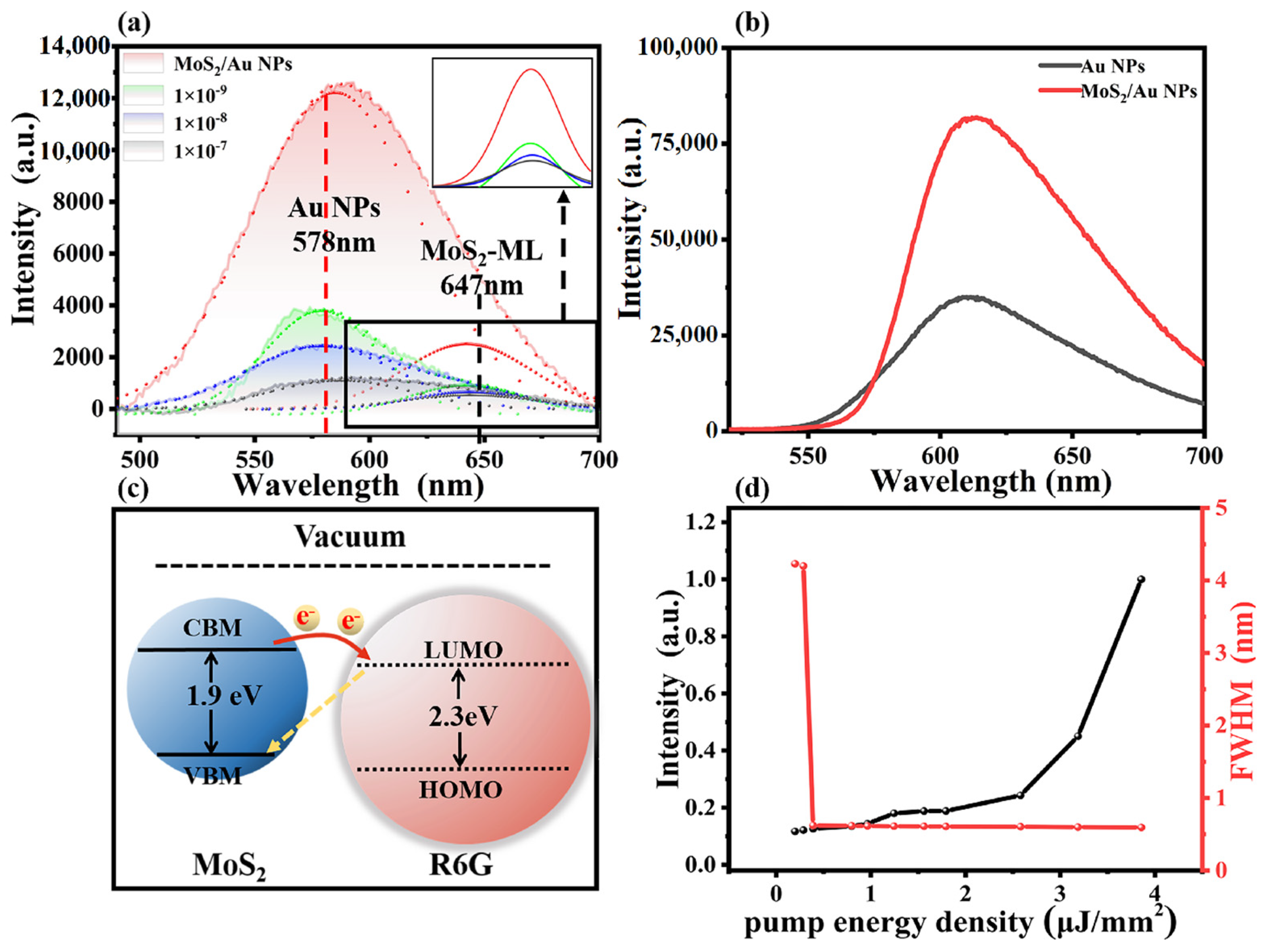 Photonics 11 00168 g006