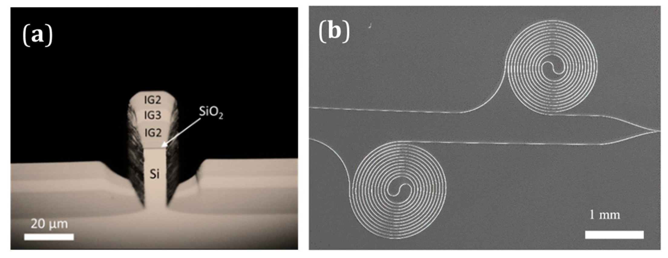 Photonics 11 00201 g001