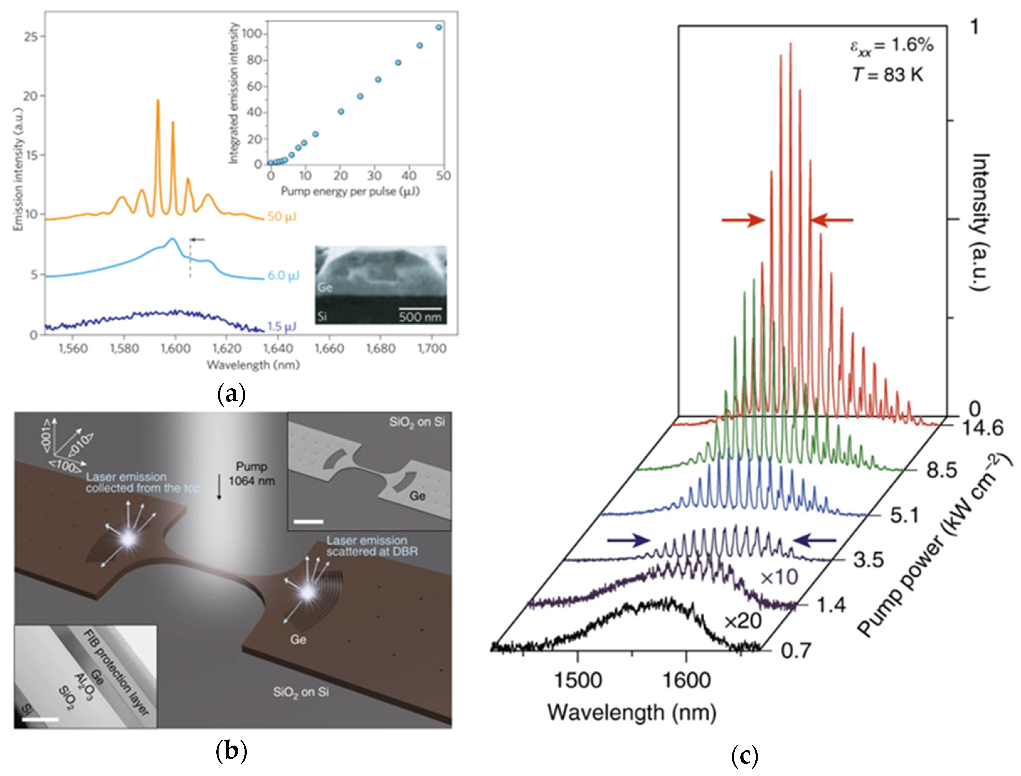 Photonics 11 00212 g001