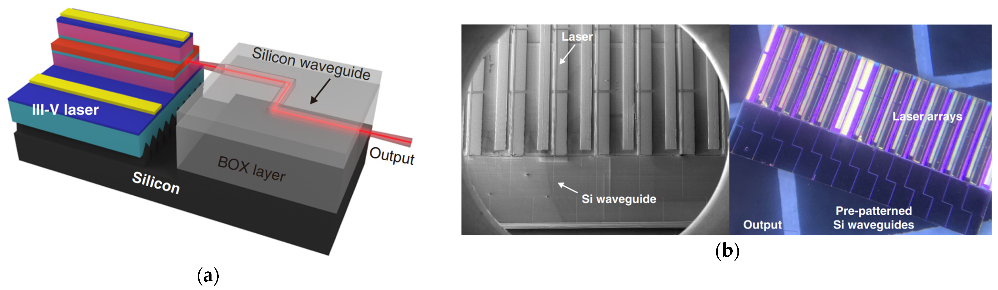 Photonics 11 00212 g007