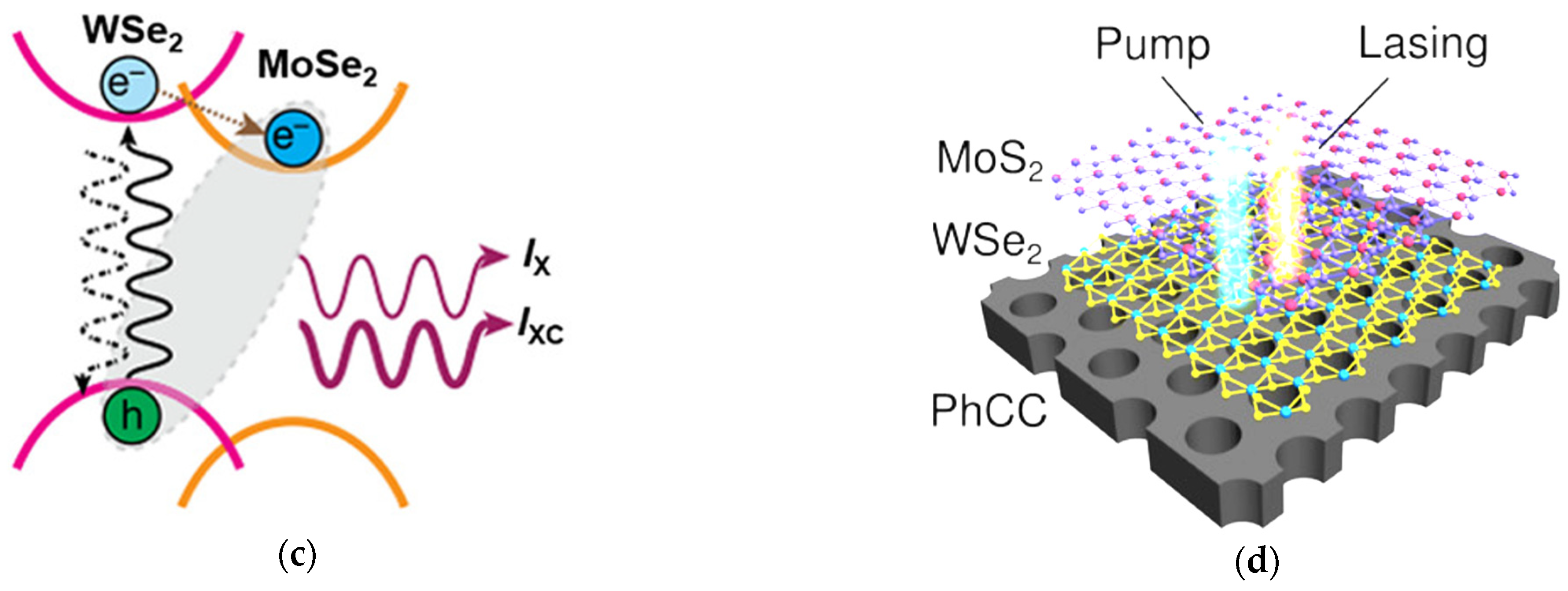 Photonics 11 00212 g008b