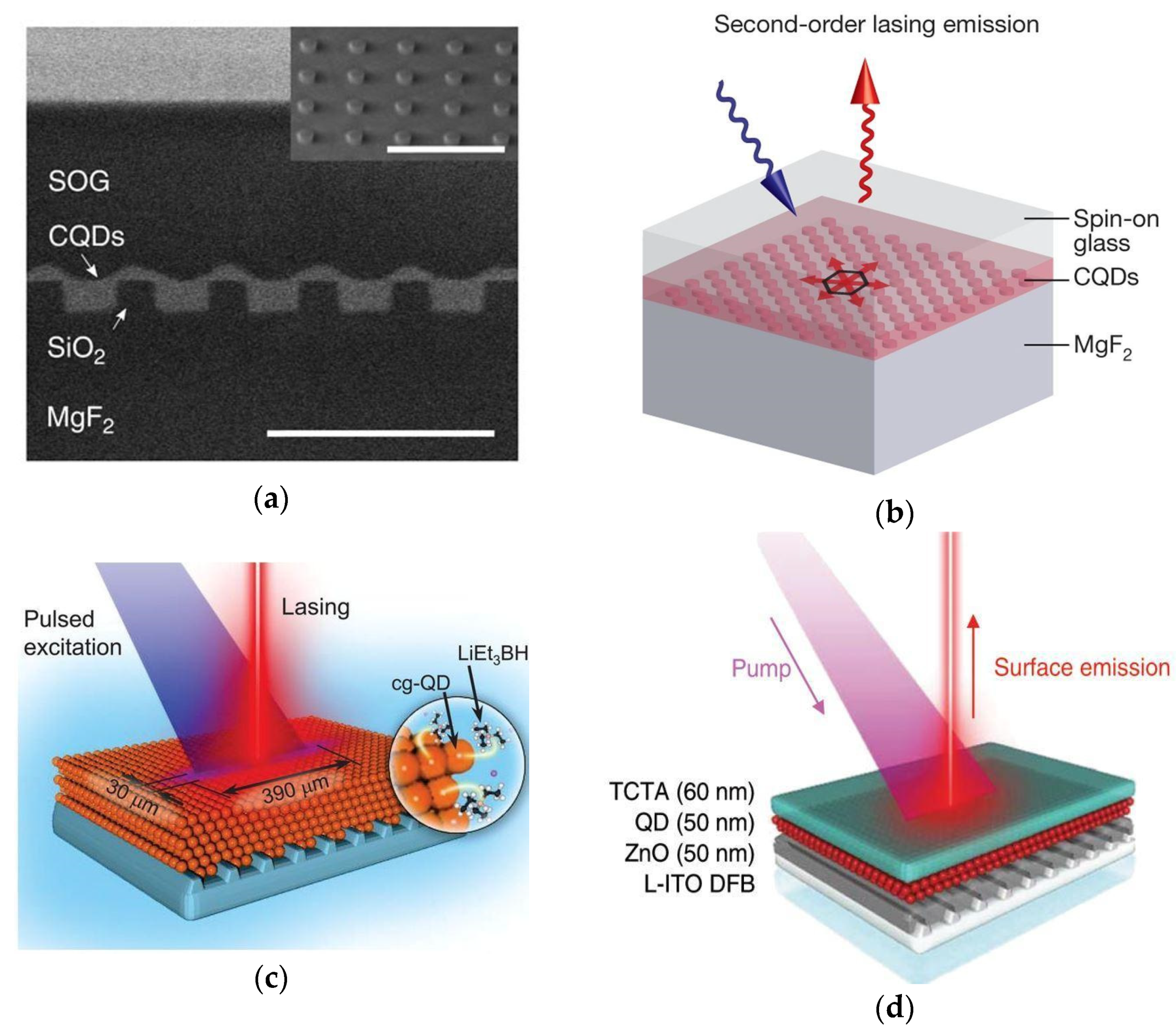 Photonics 11 00212 g011