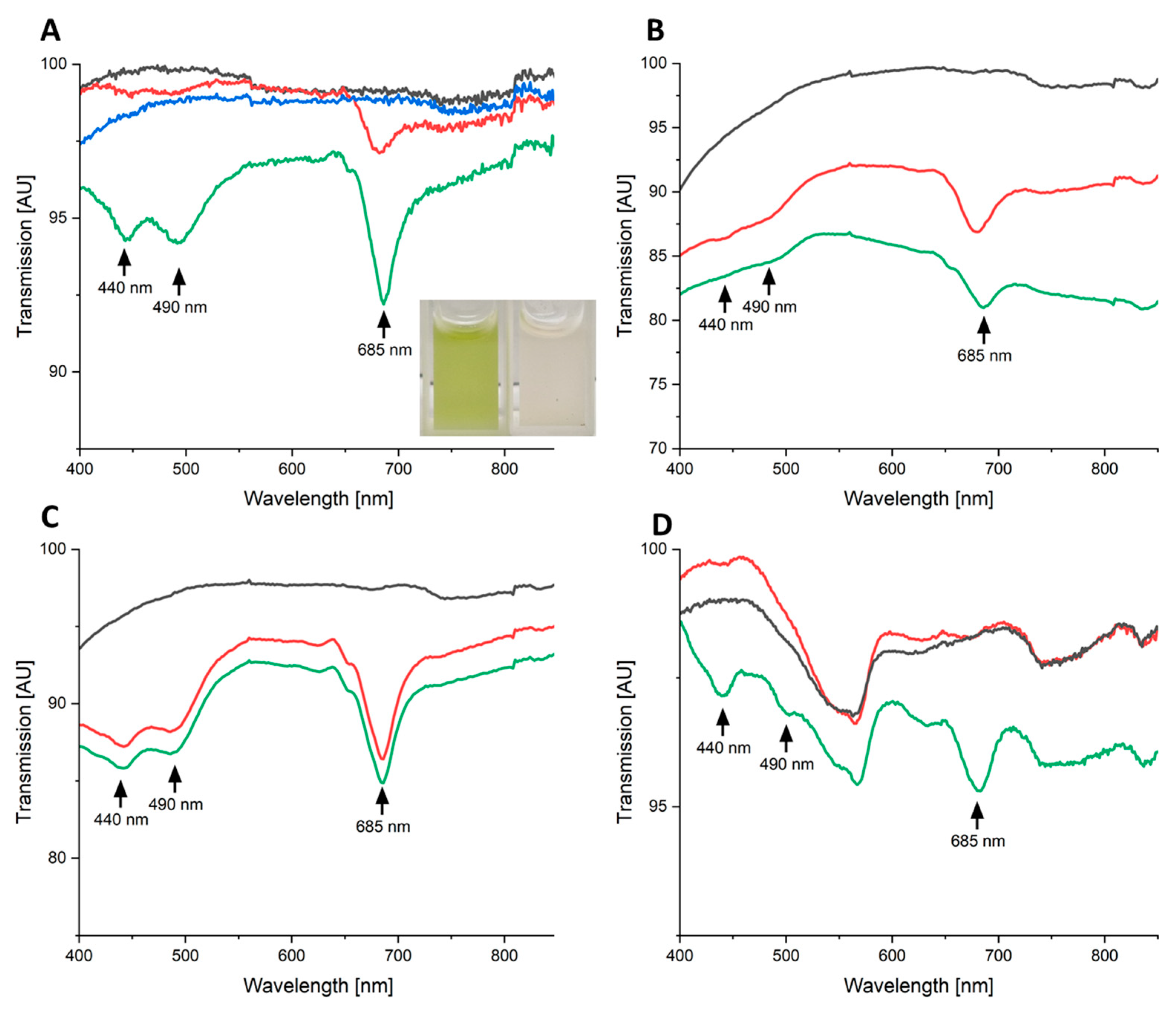 Photonics 11 00220 g005