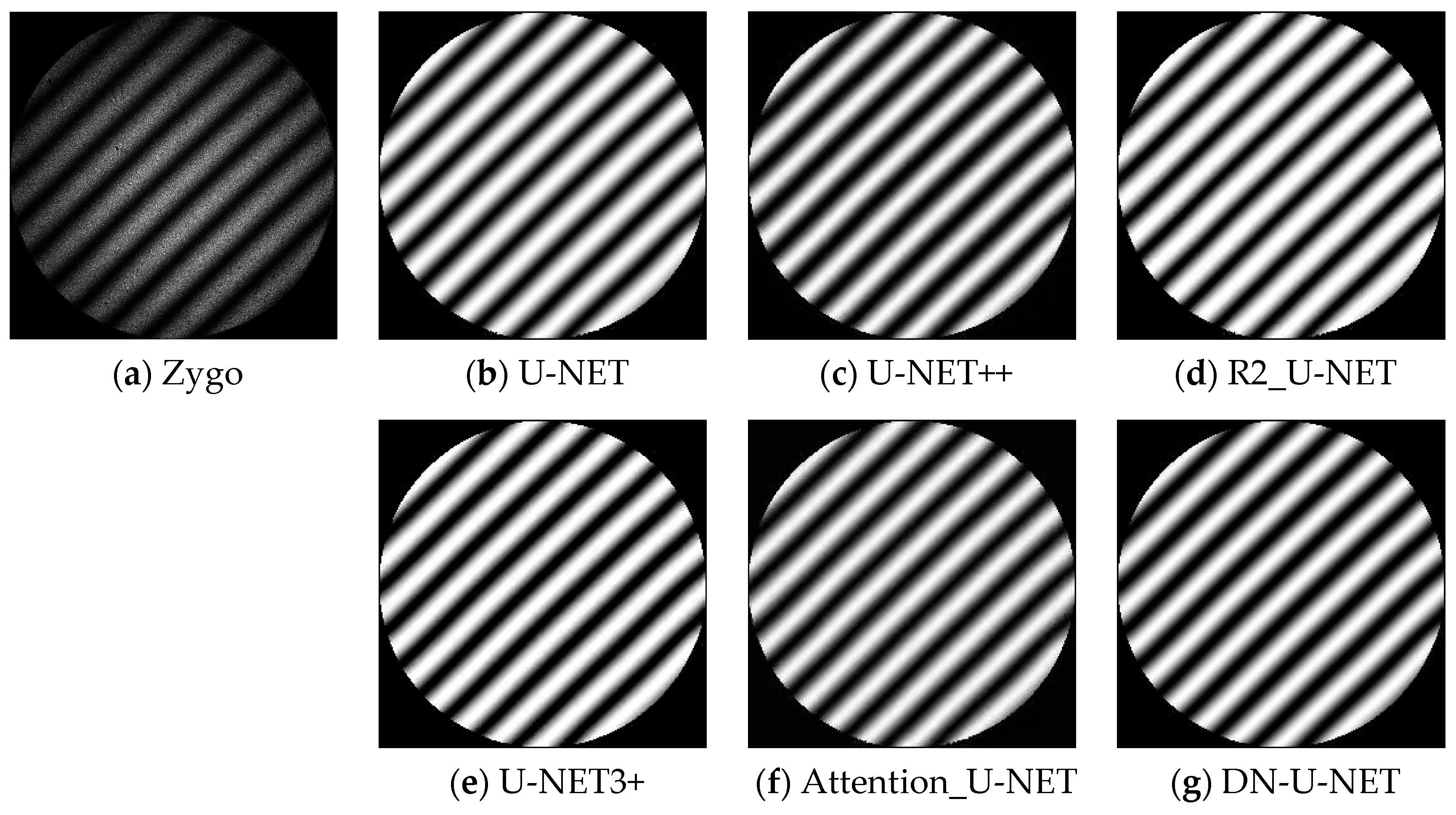 Photonics 11 00226 g008