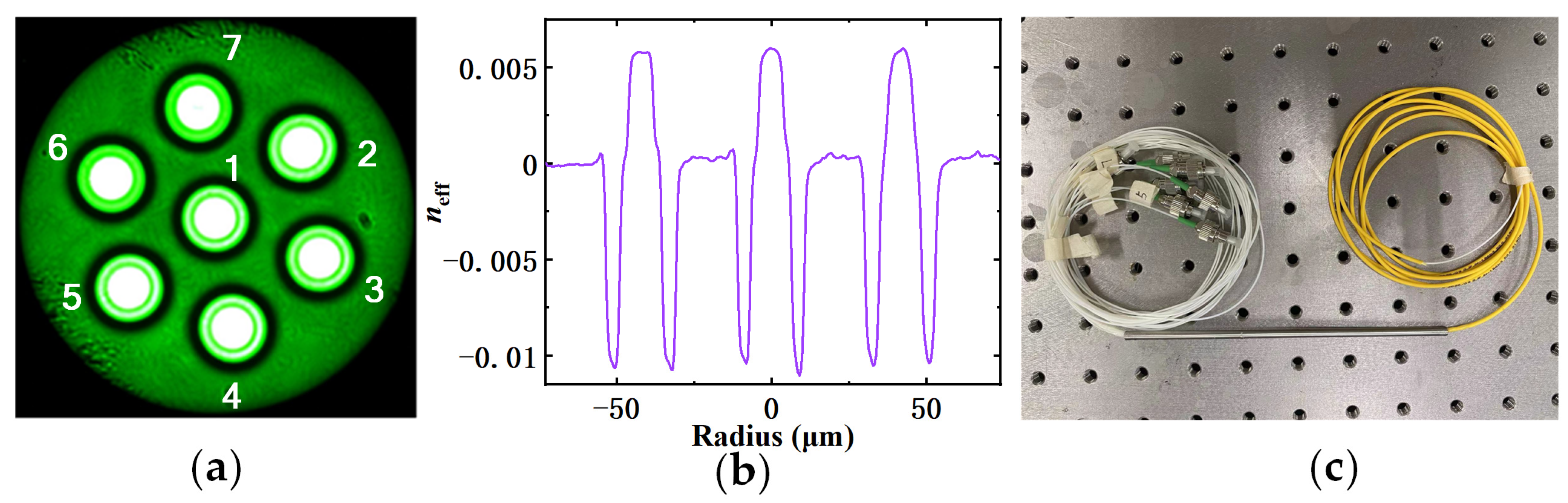 Photonics 11 00231 g001