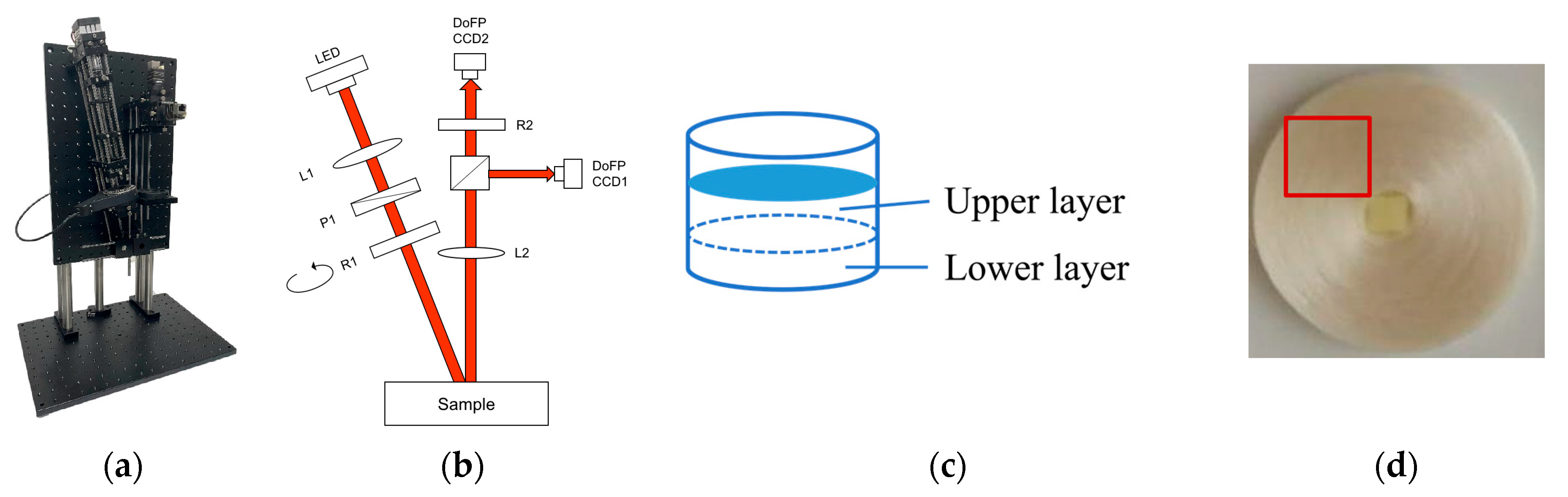 Photonics 11 00237 g001