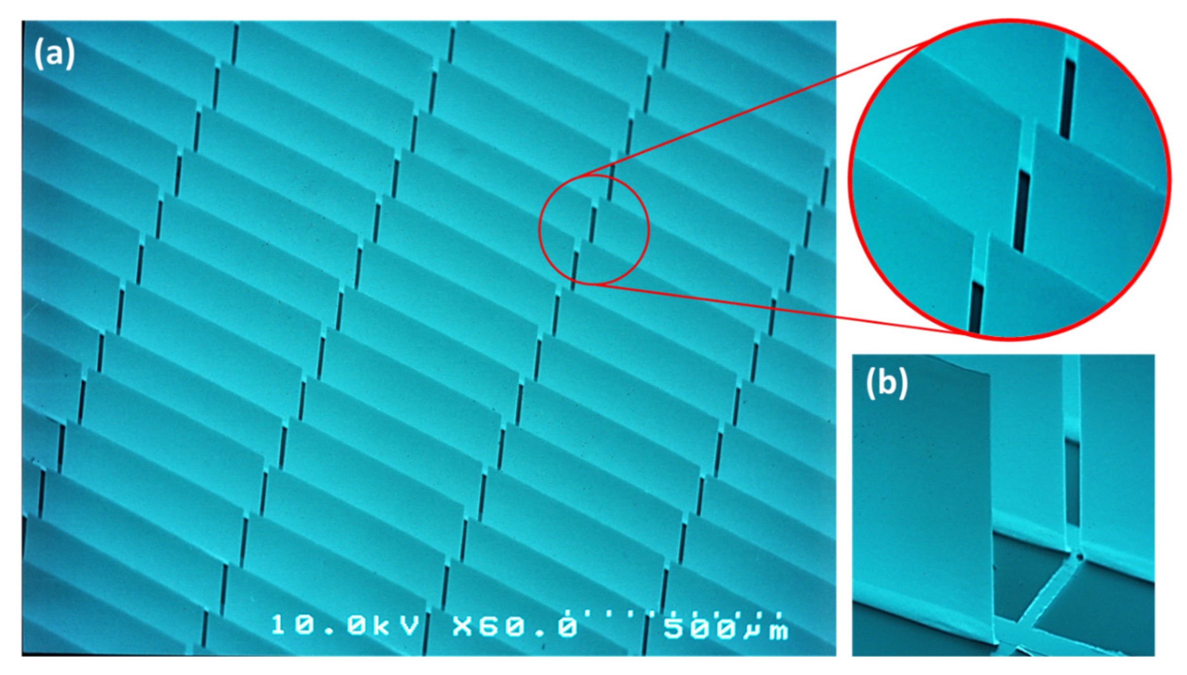 Photonics 11 00253 g010