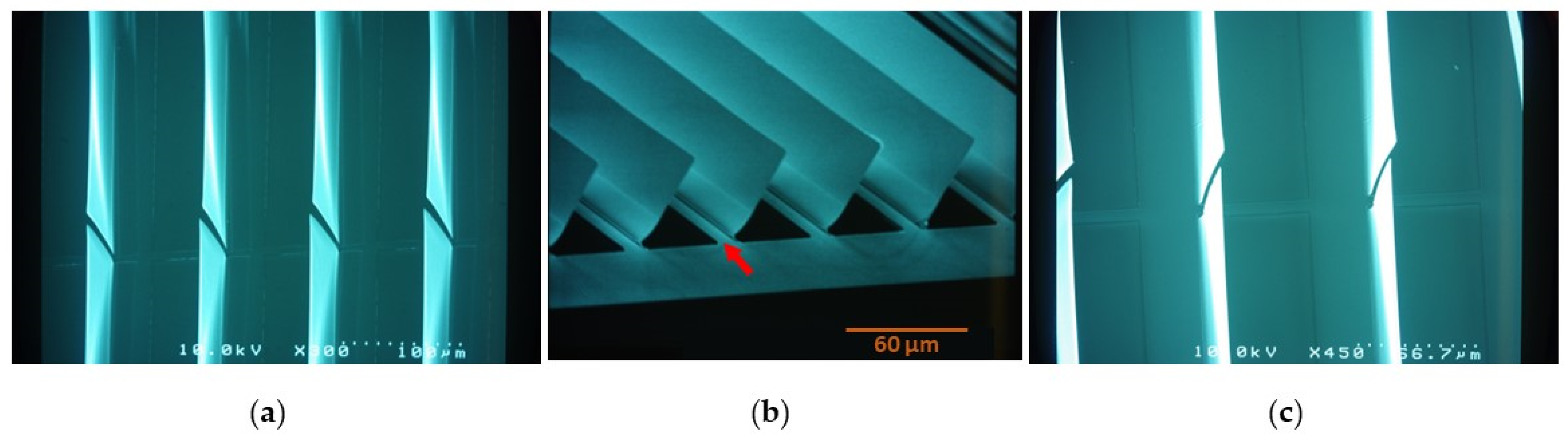 Photonics 11 00253 g012