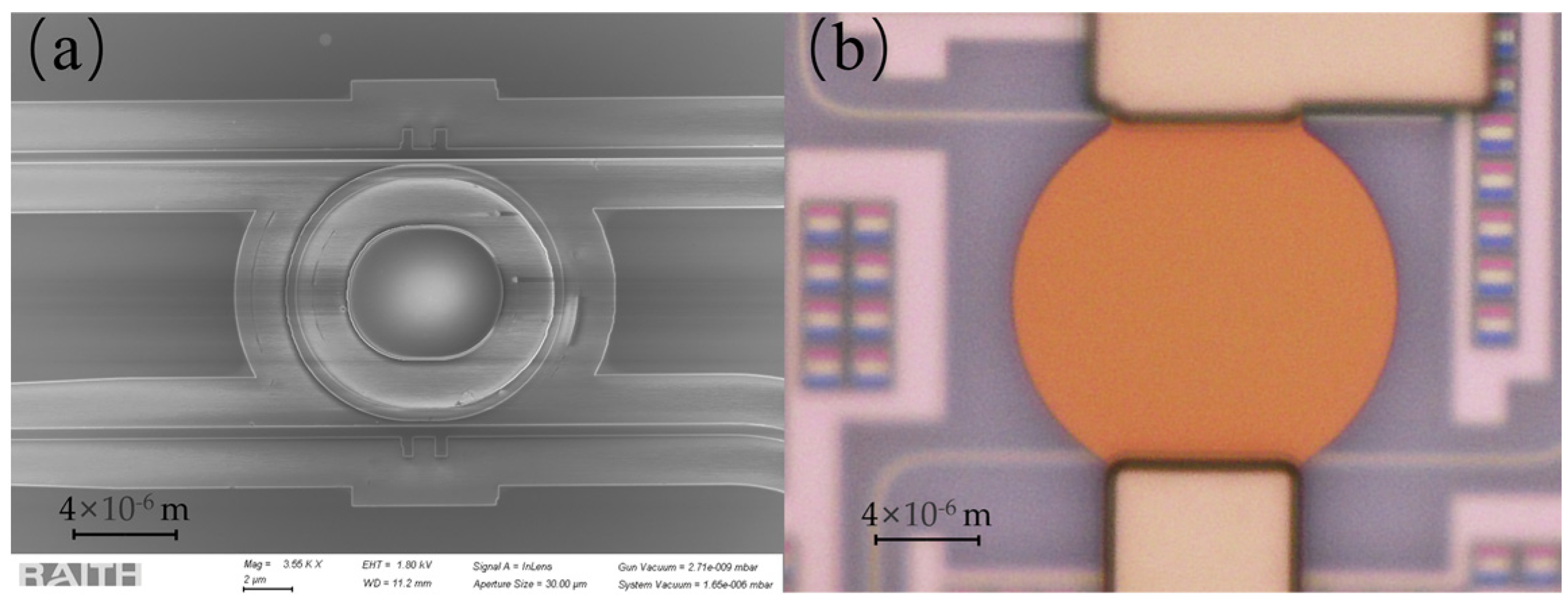 Photonics 11 00255 g004