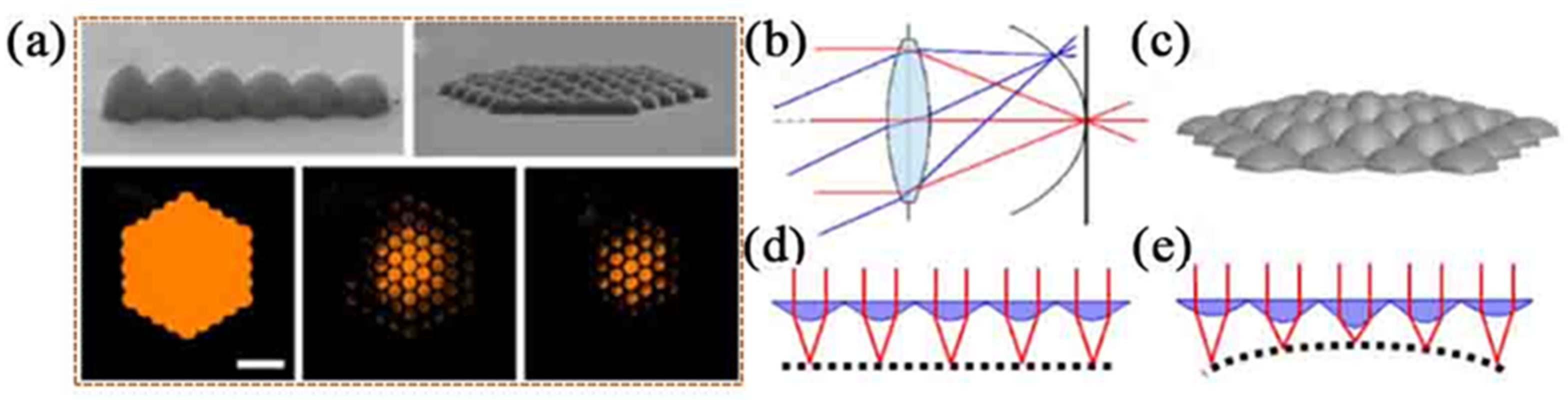 Photonics 11 00264 g004