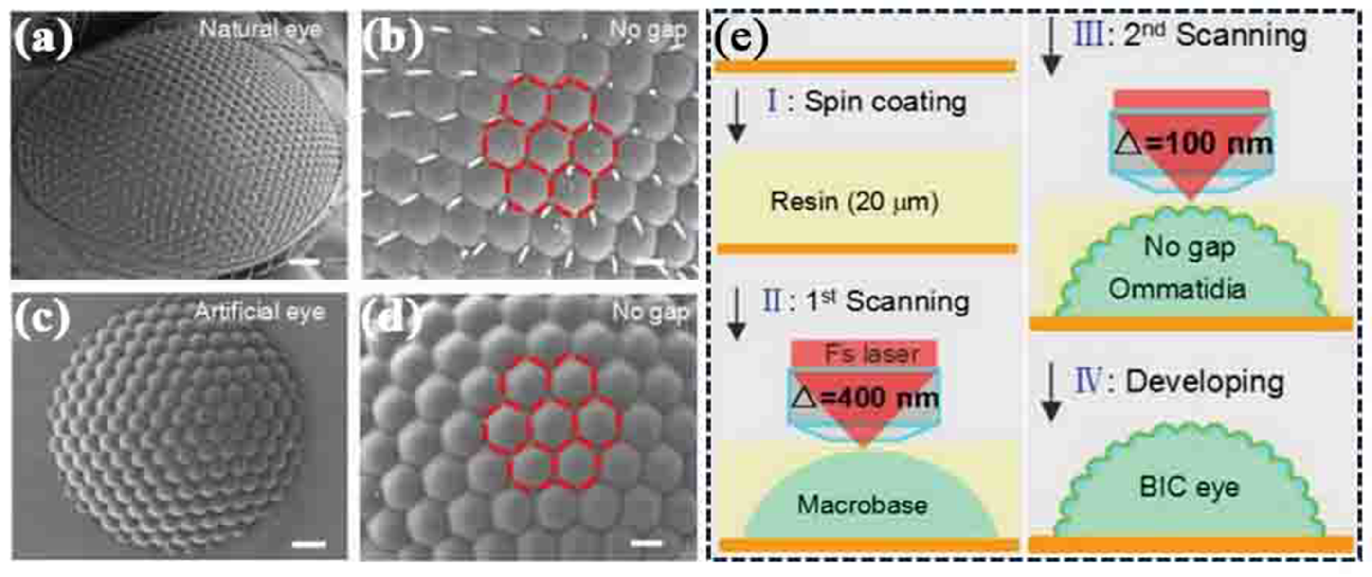Photonics 11 00264 g005