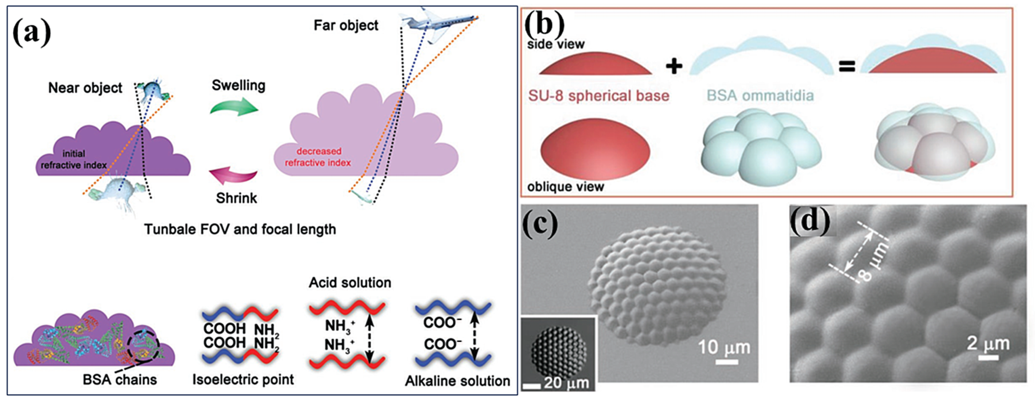 Photonics 11 00264 g006