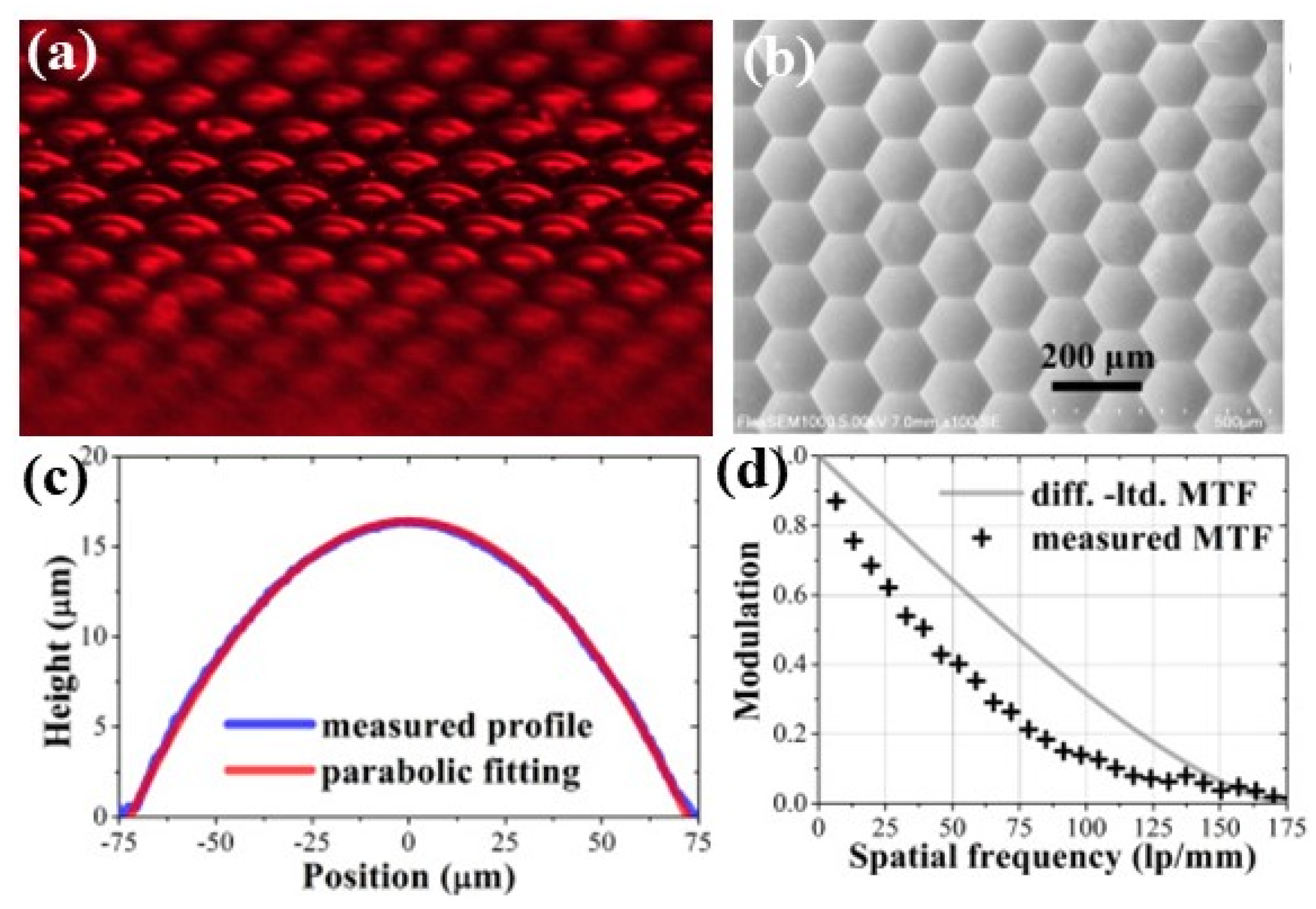 Photonics 11 00264 g011