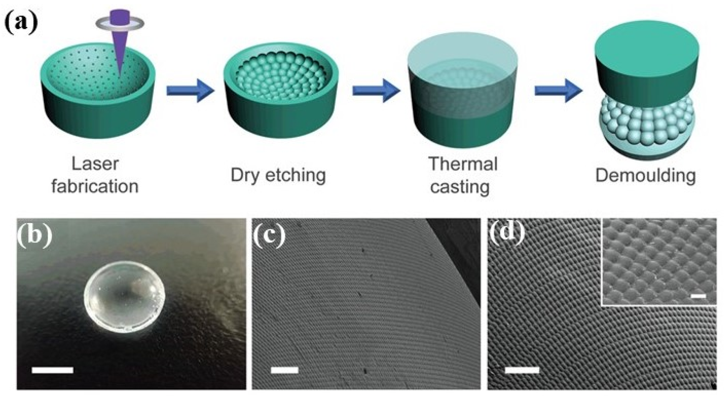 Photonics 11 00264 g014