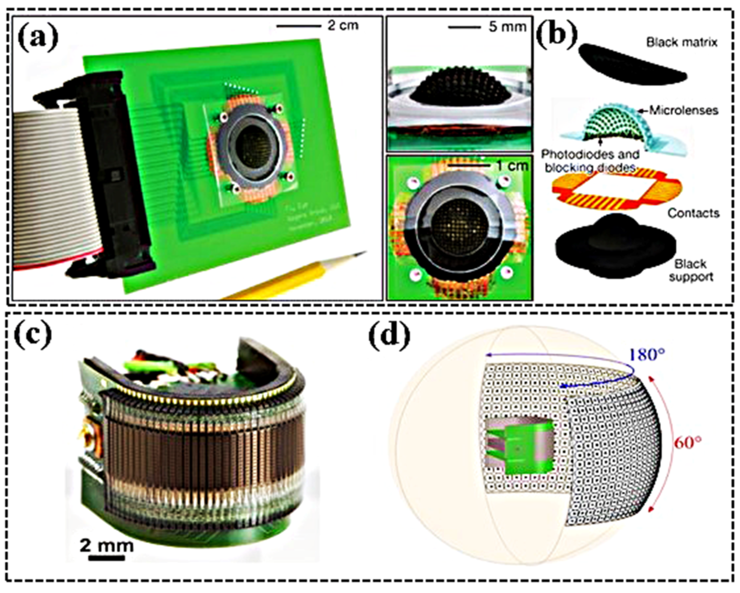 Photonics 11 00264 g015