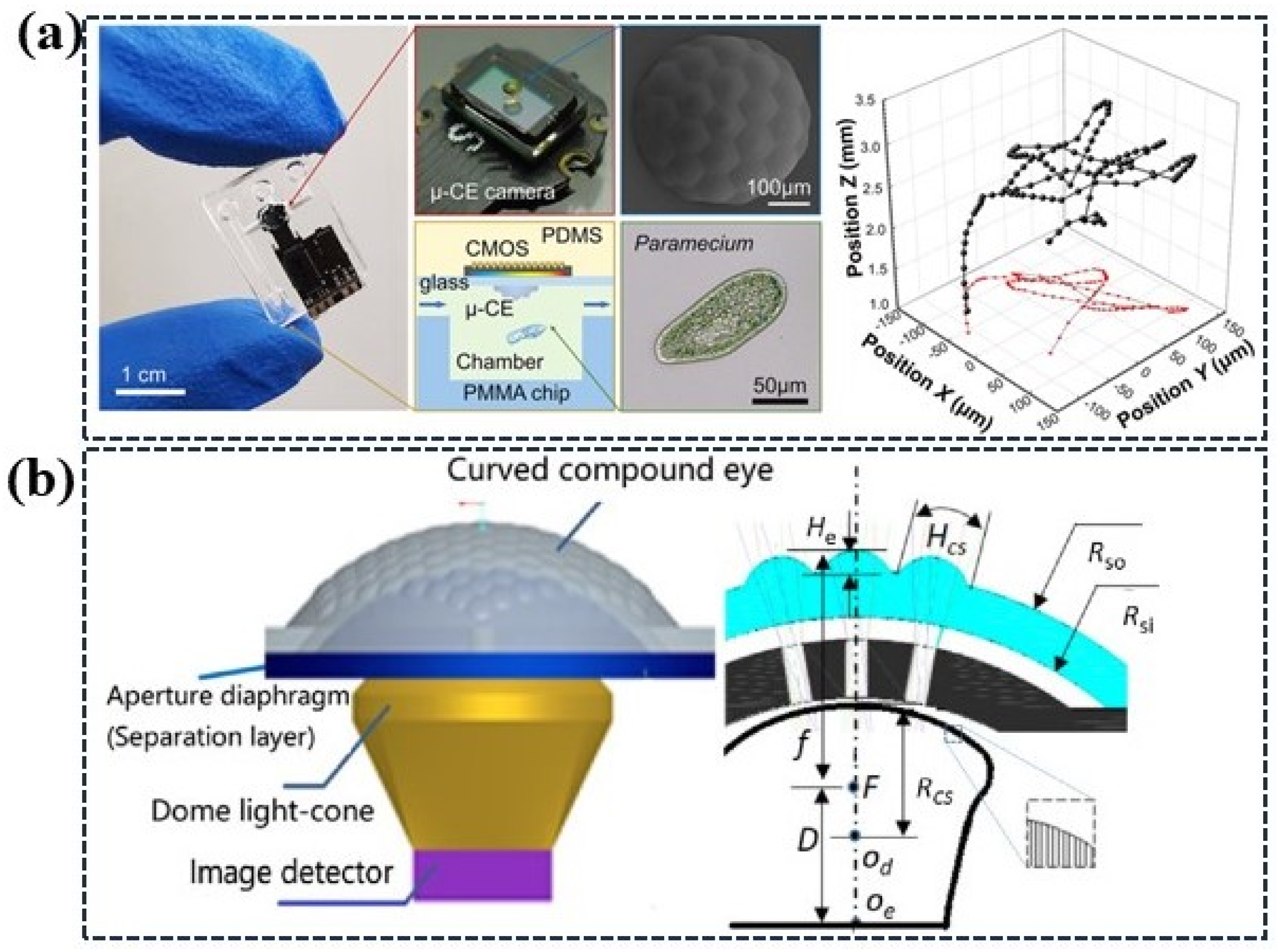 Photonics 11 00264 g016