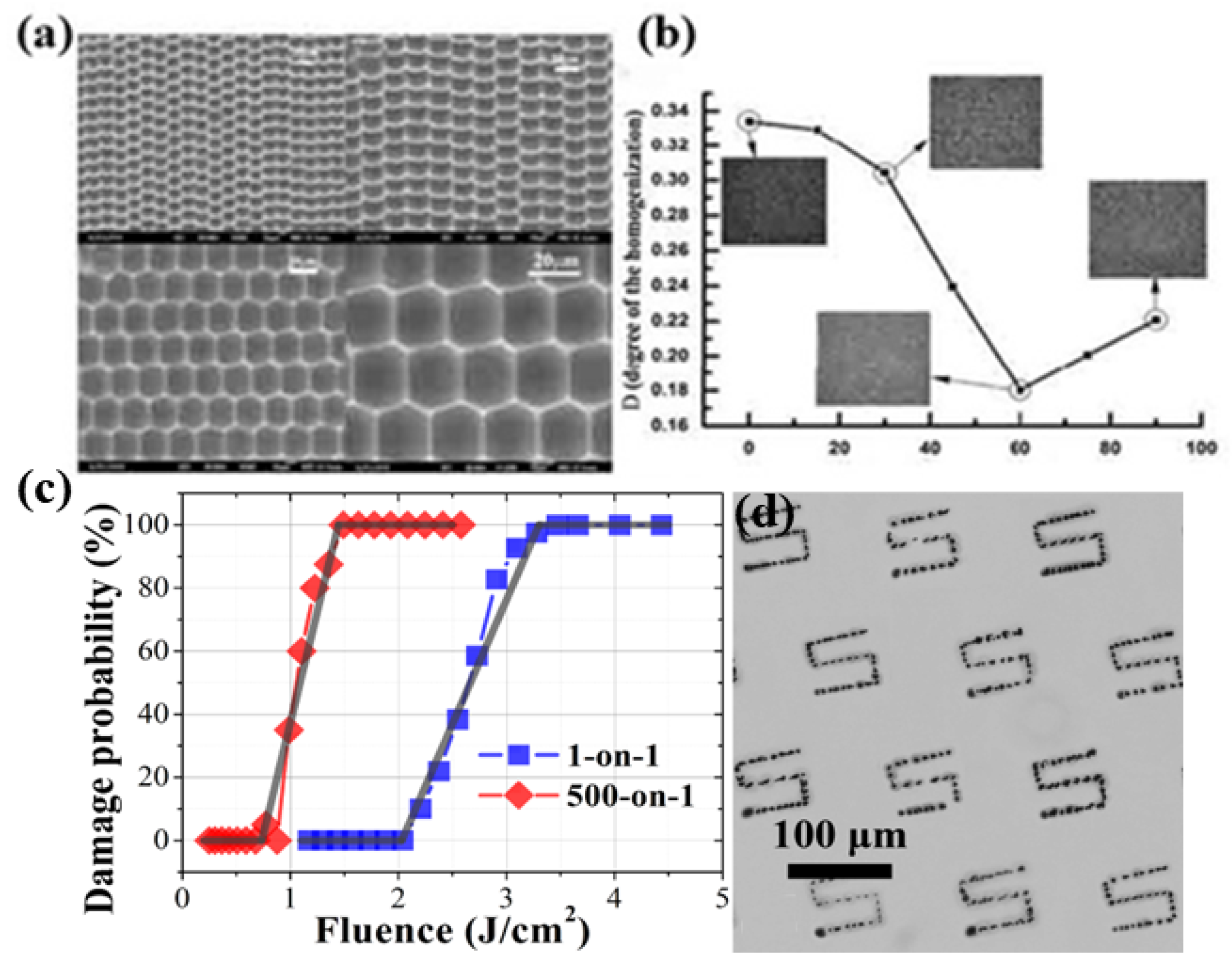 Photonics 11 00264 g017