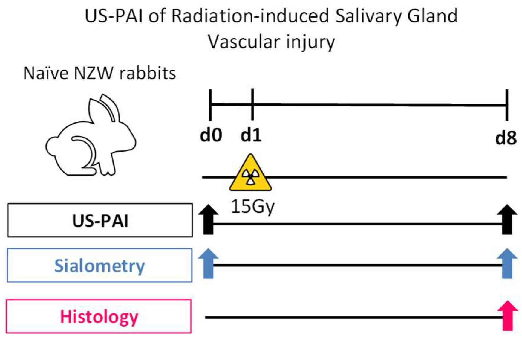 Photonics 11 00273 g001