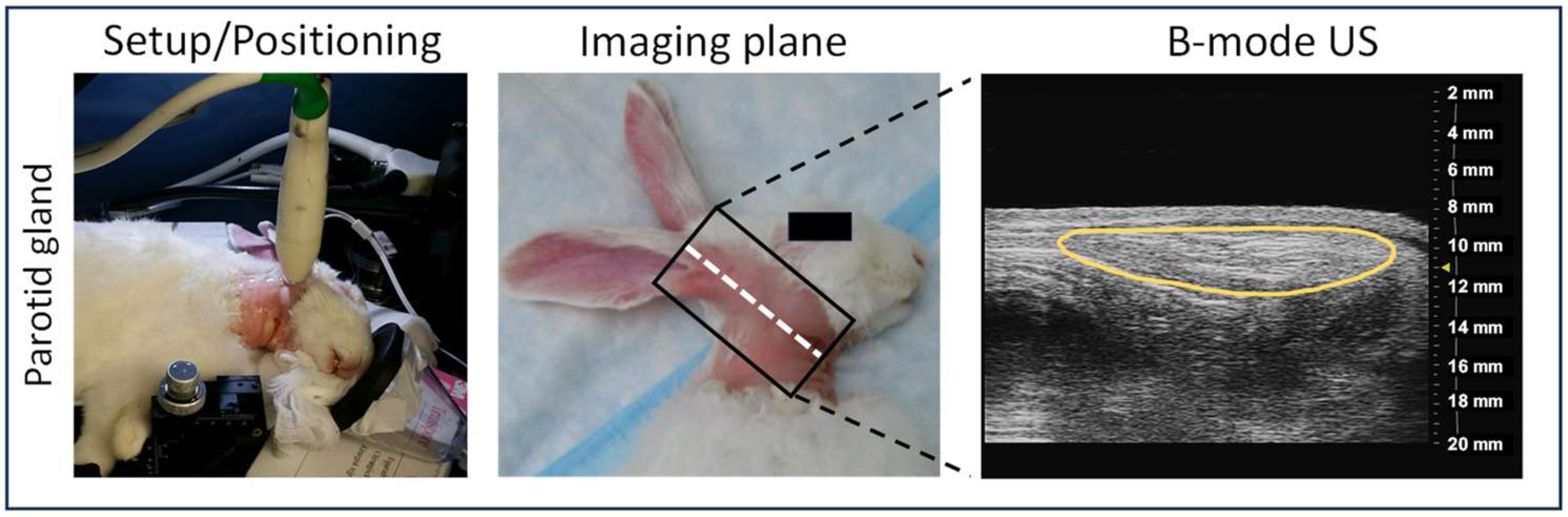 Photonics 11 00273 g002
