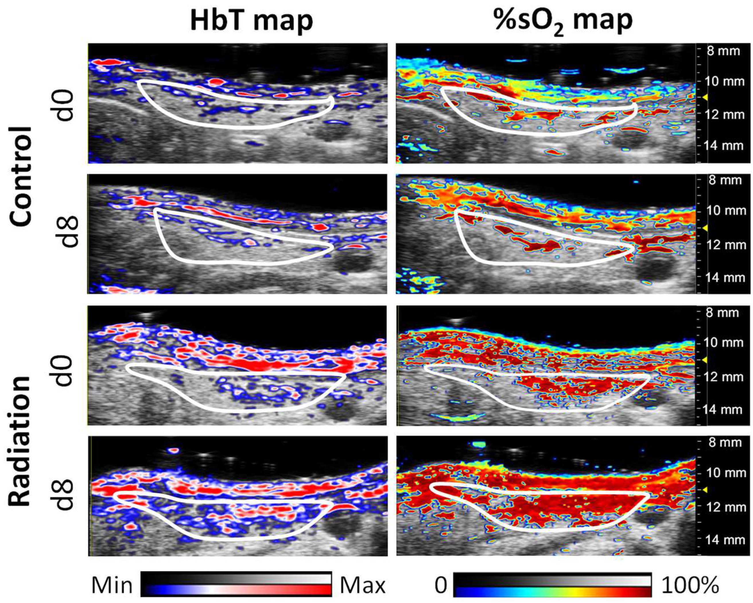 Photonics 11 00273 g003